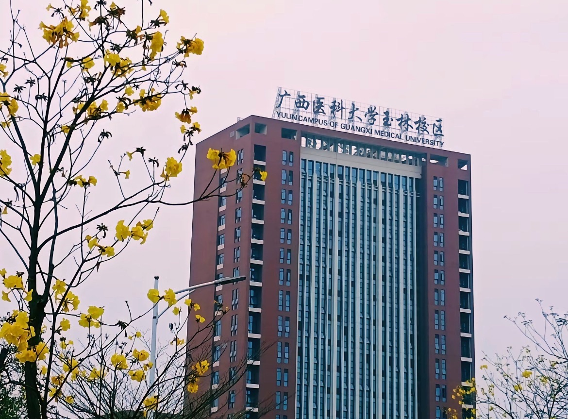 广西医科大学(玉林校区)