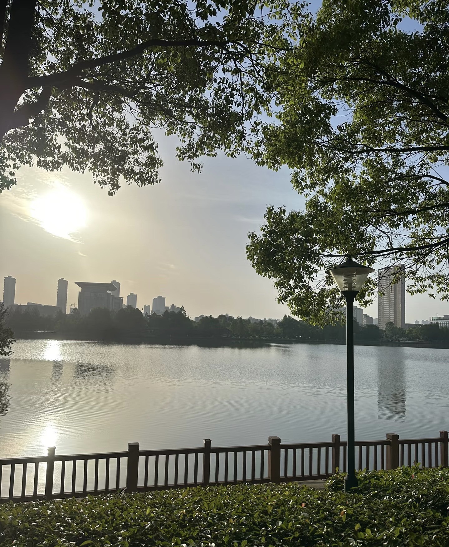 千子湖公园旅行图片 2