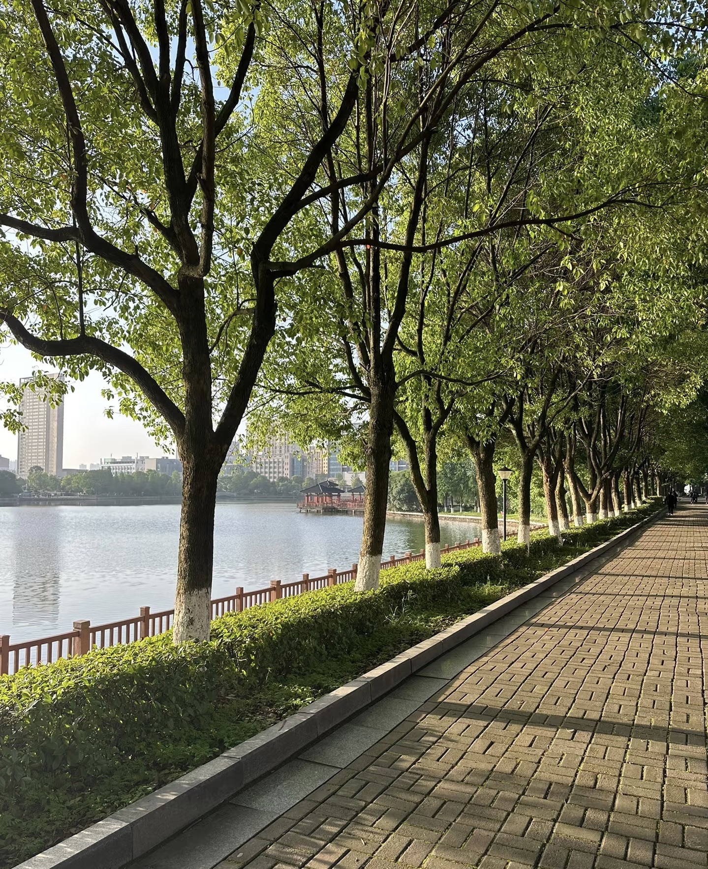 千子湖公园旅行图片 3