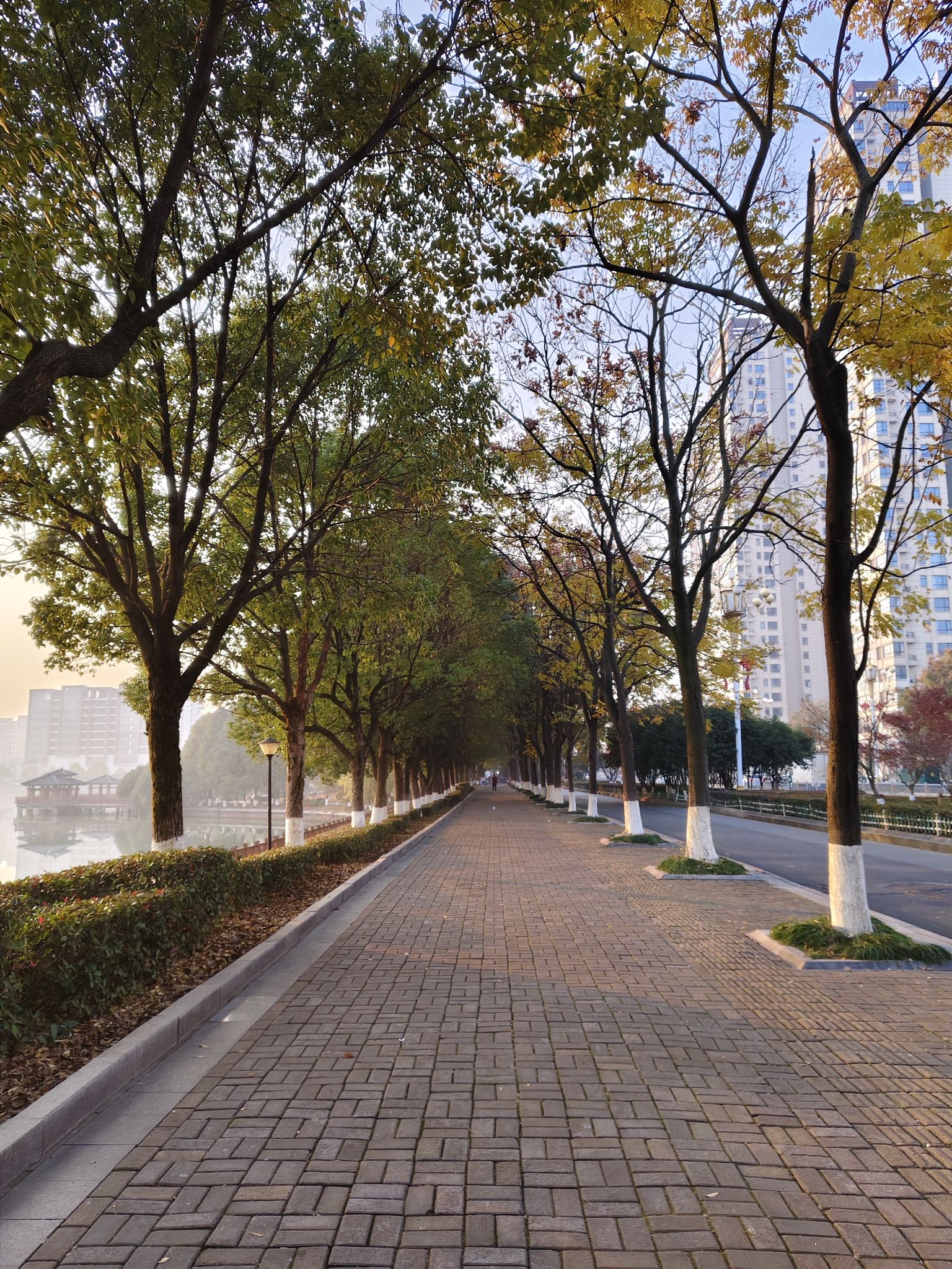 千子湖公园旅行图片 3