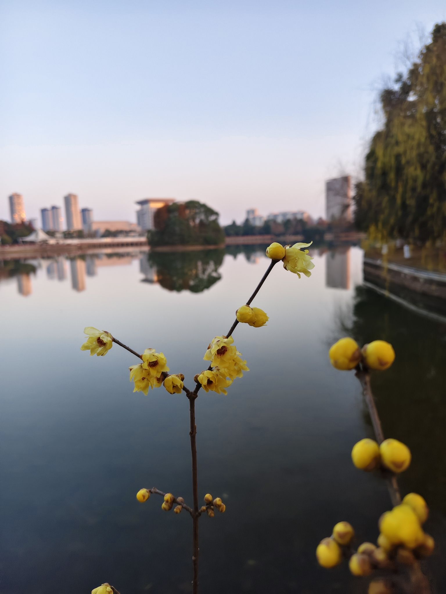 千子湖公园旅行图片 1