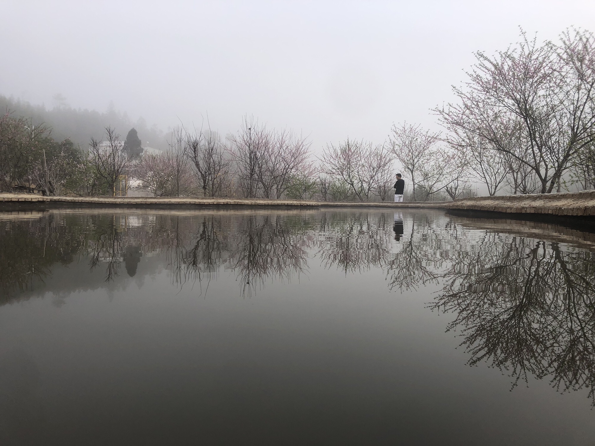 东江梅园旅行图片 2