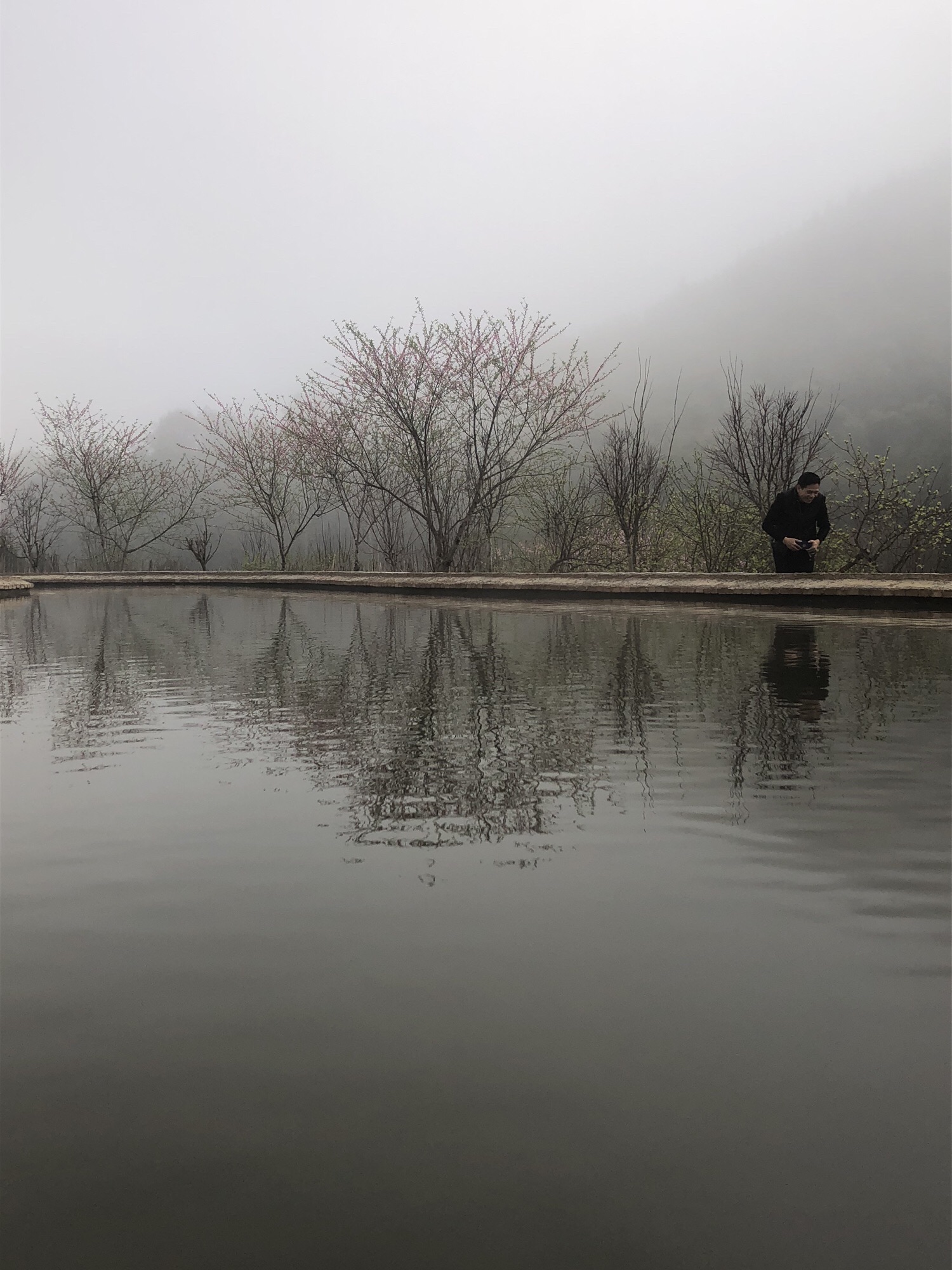 东江梅园旅行图片 3