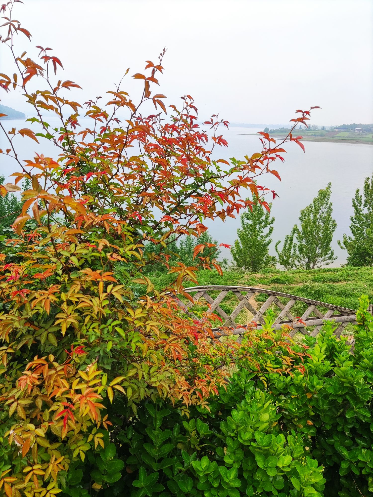 孤石滩水库大坝旅行图片 3