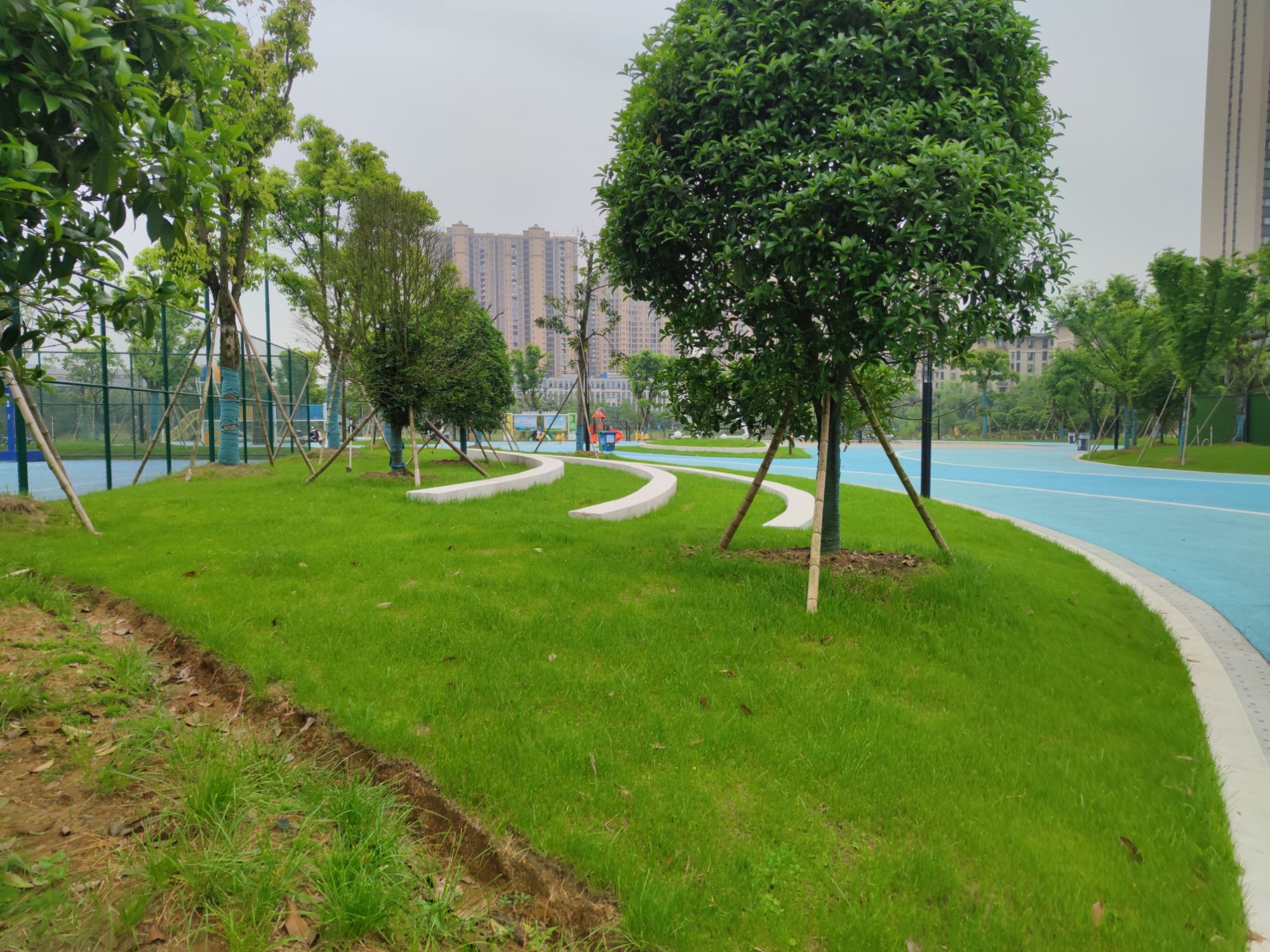 信江生态公园旅行图片 1