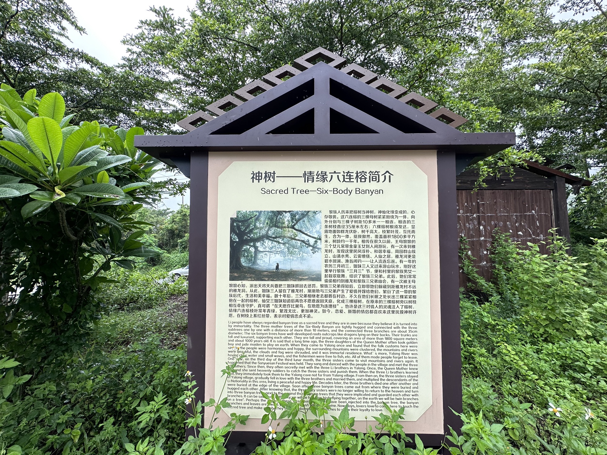 六体连榕
