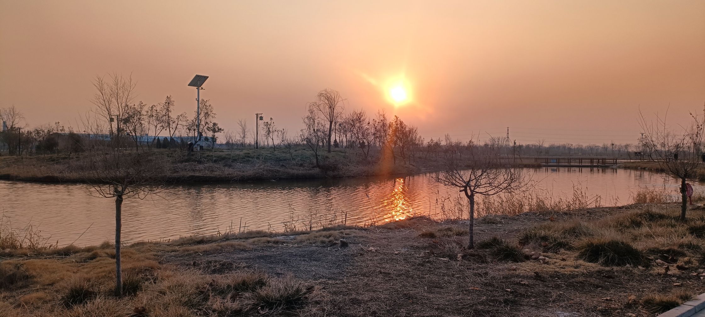 森泉湿地公园旅行图片 1