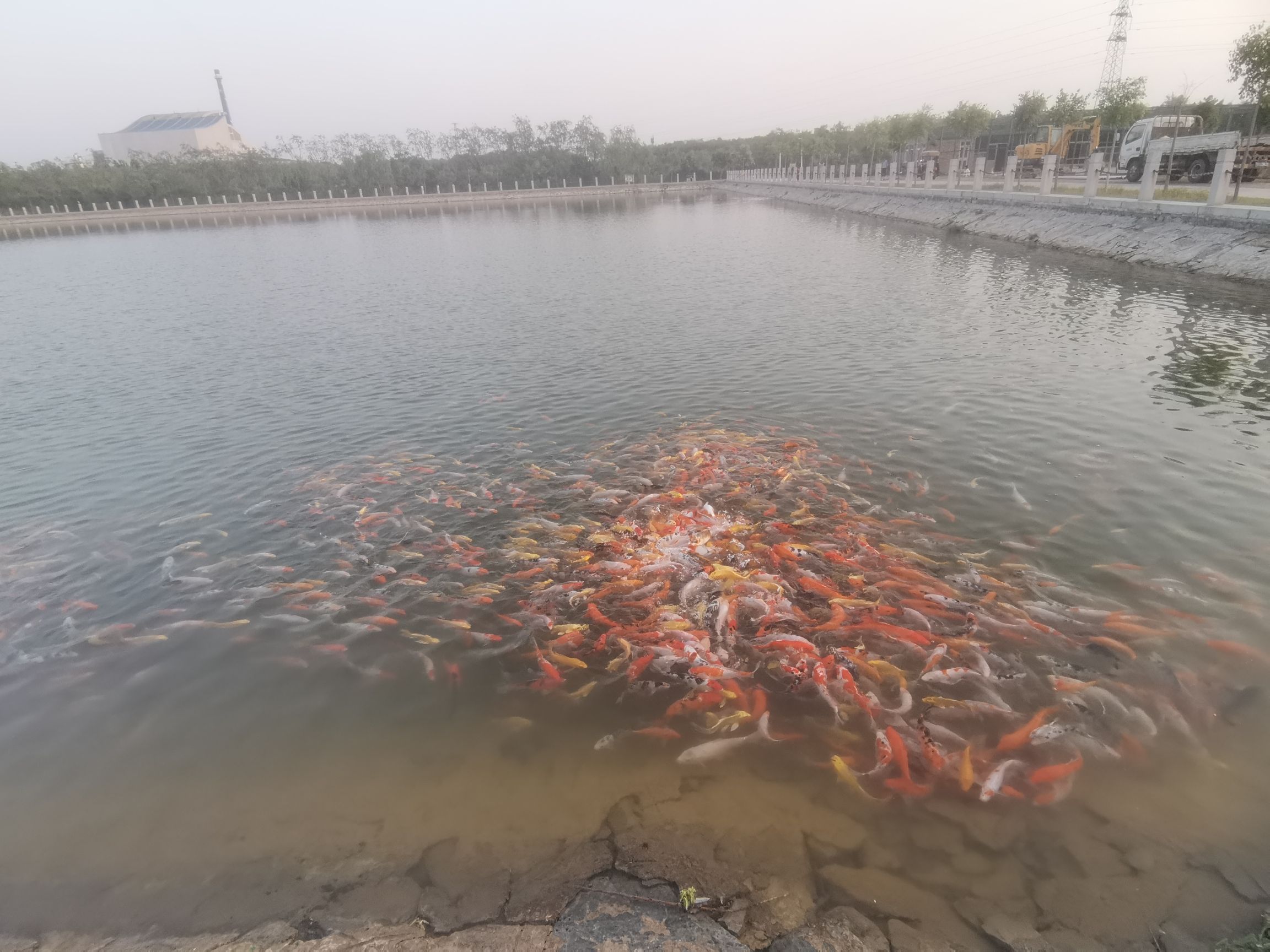 森泉湿地公园旅行图片 2