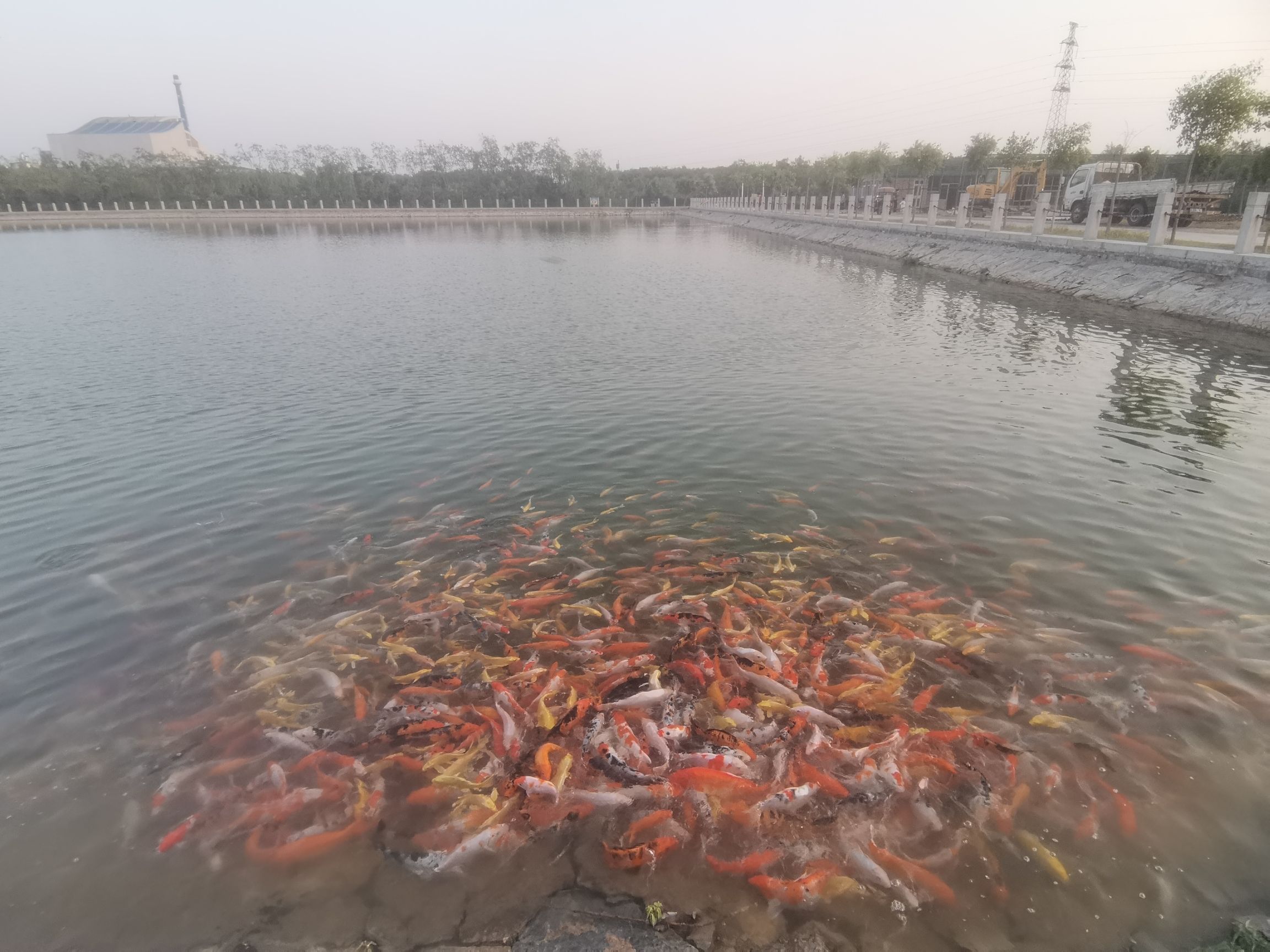 森泉湿地公园旅行图片 1