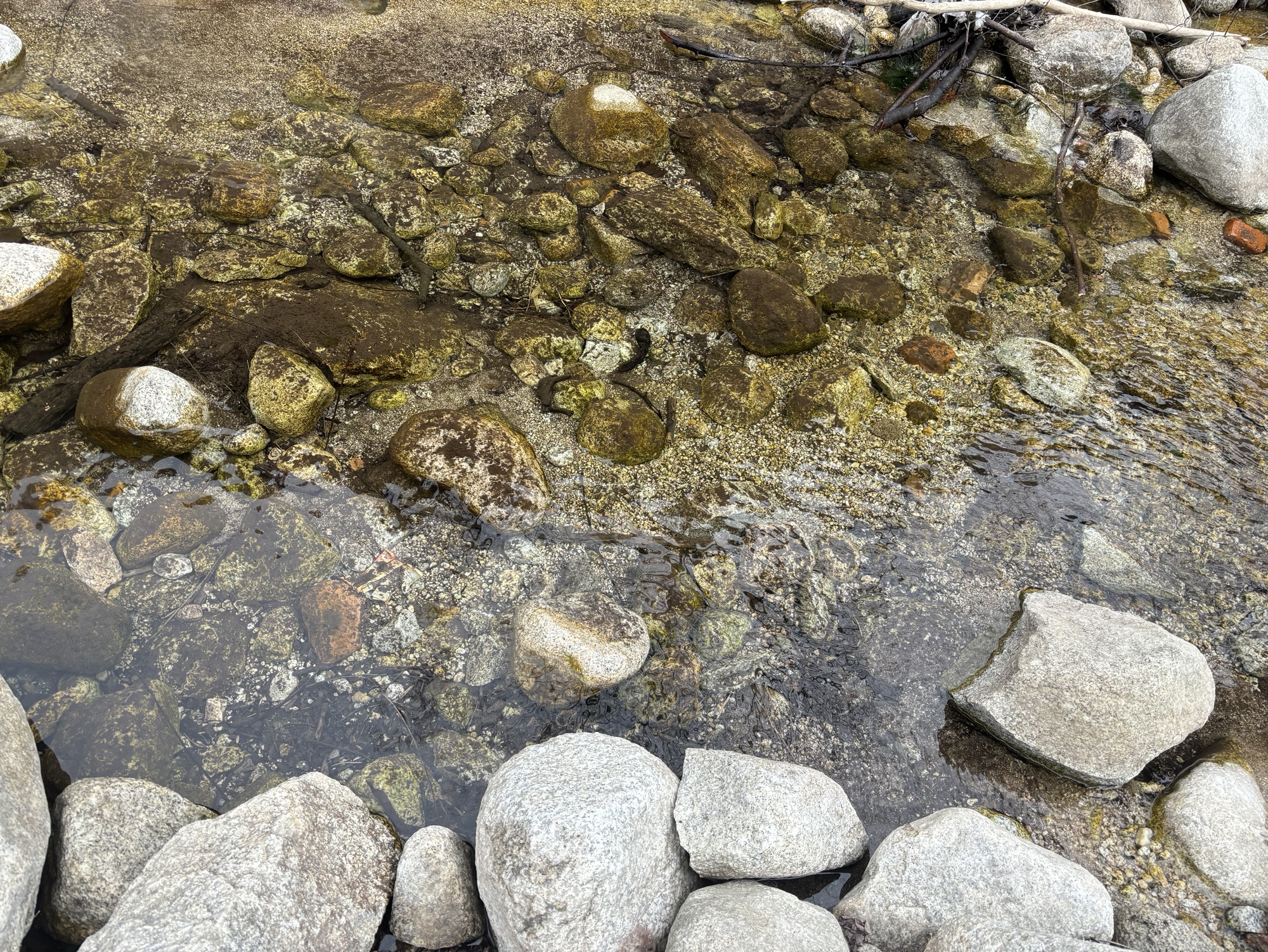 河南灵宝竹林寺旅行图片 2