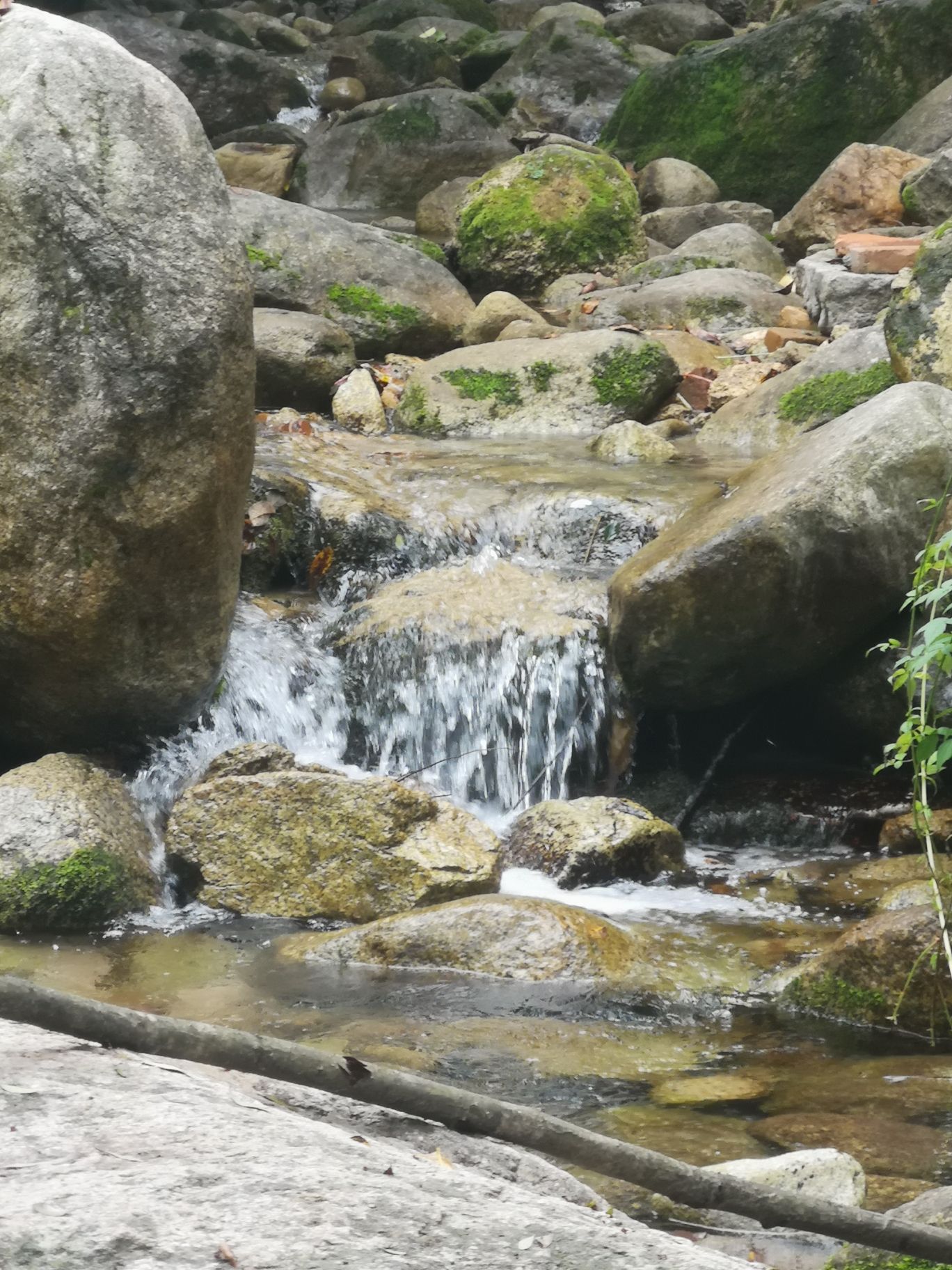 河南灵宝竹林寺旅行图片 3
