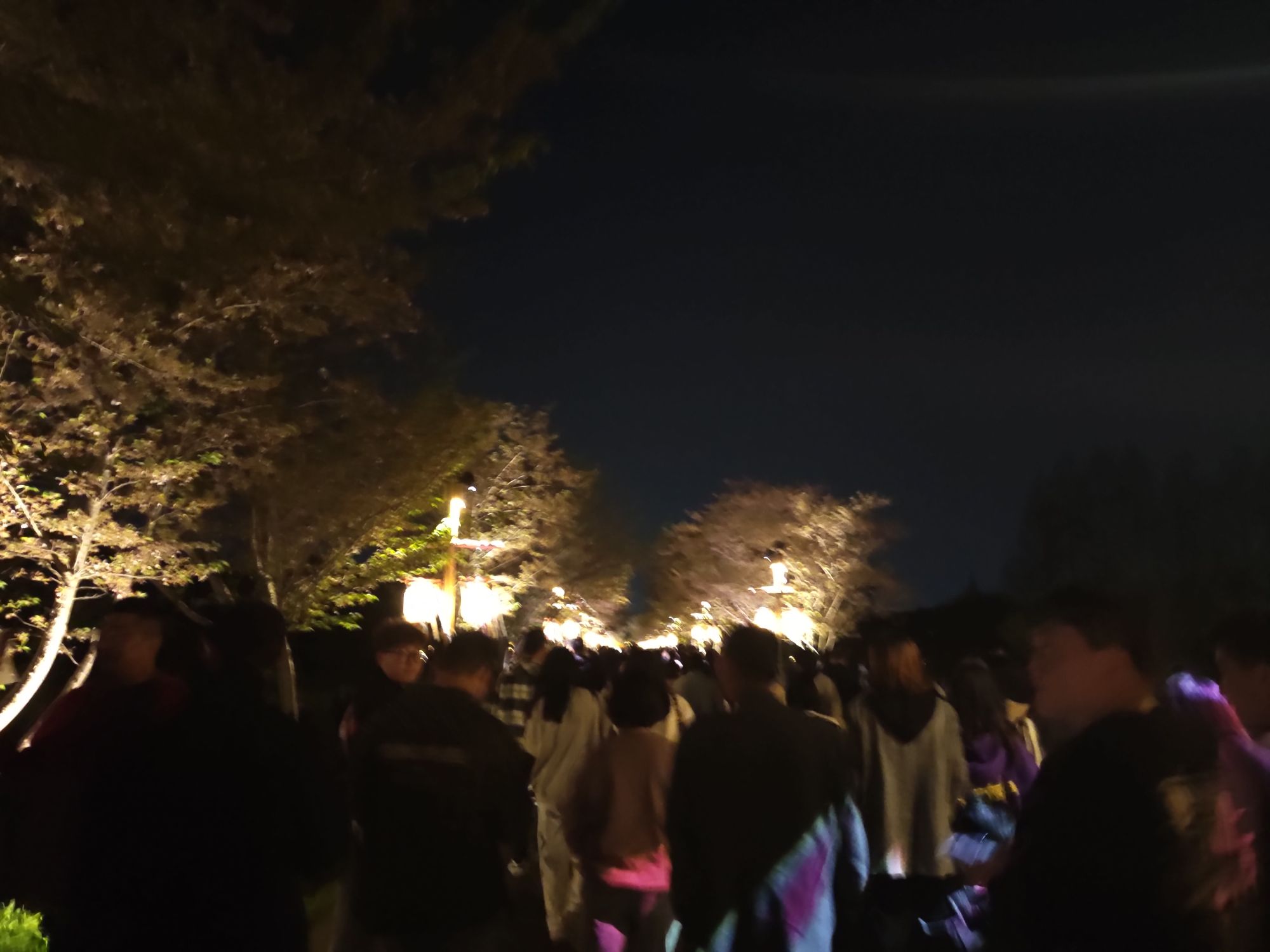 长田漾湿地公园旅行图片 3