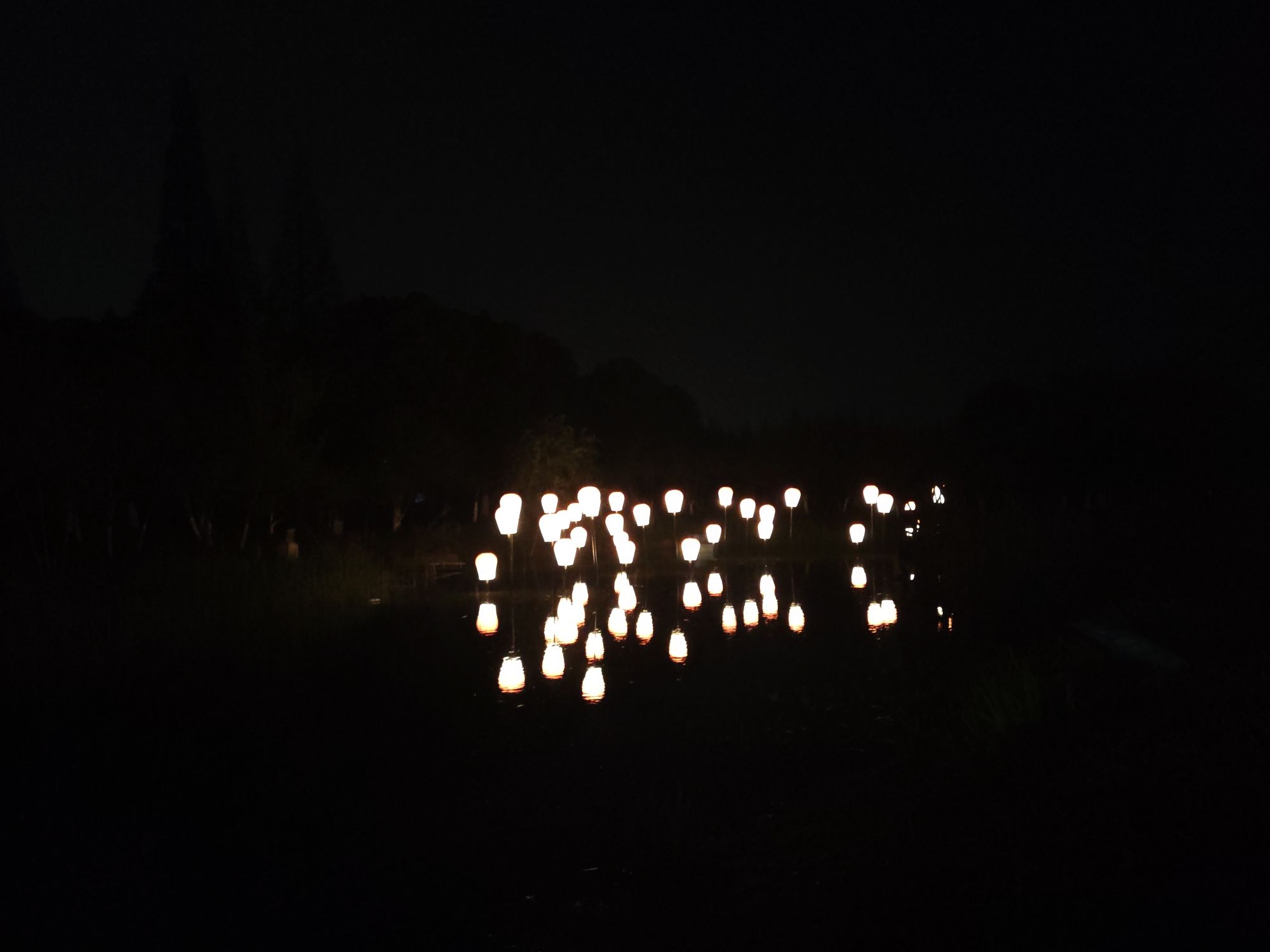 长田漾湿地公园旅行图片 2
