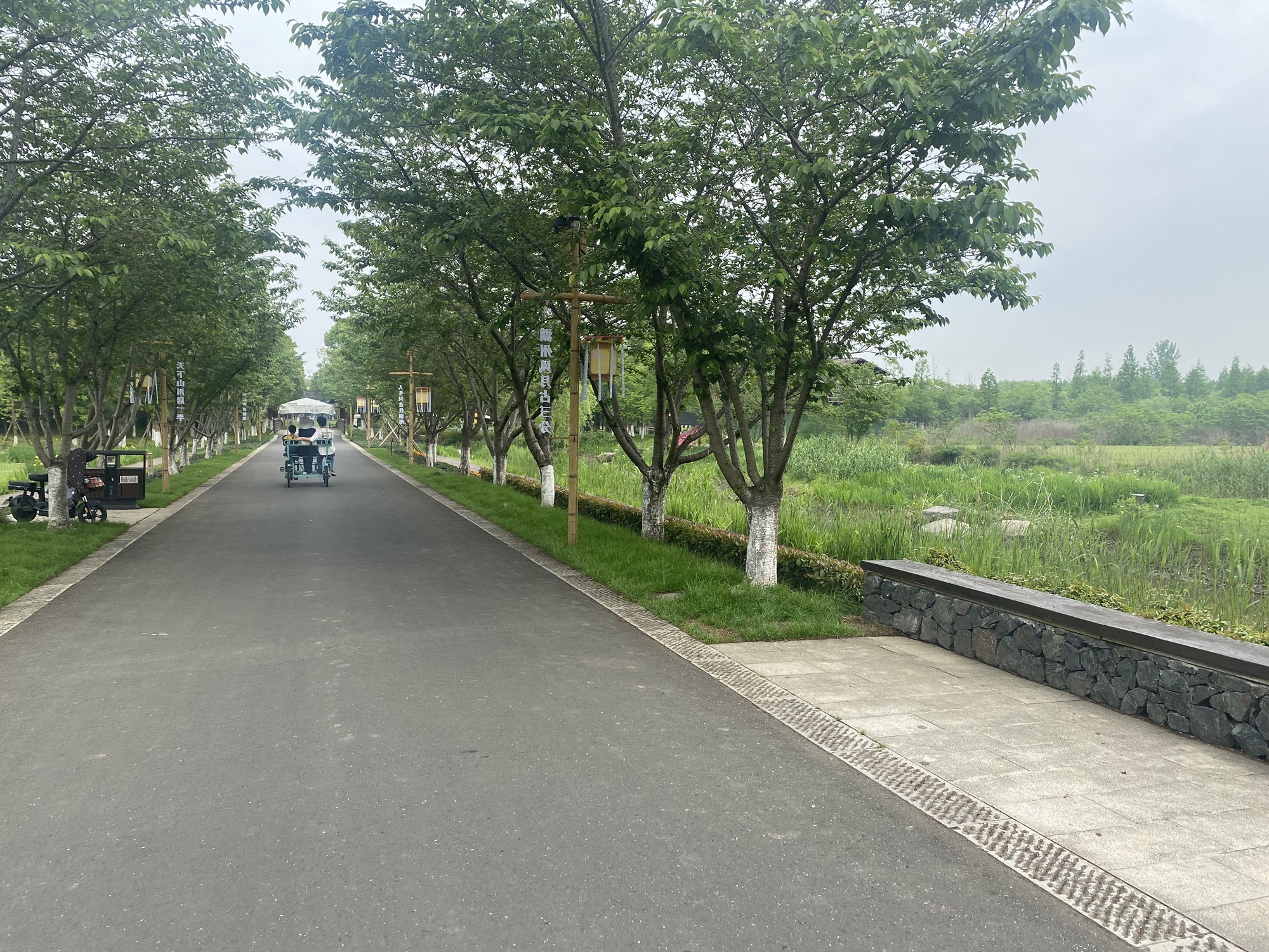 长田漾湿地公园旅行图片 2