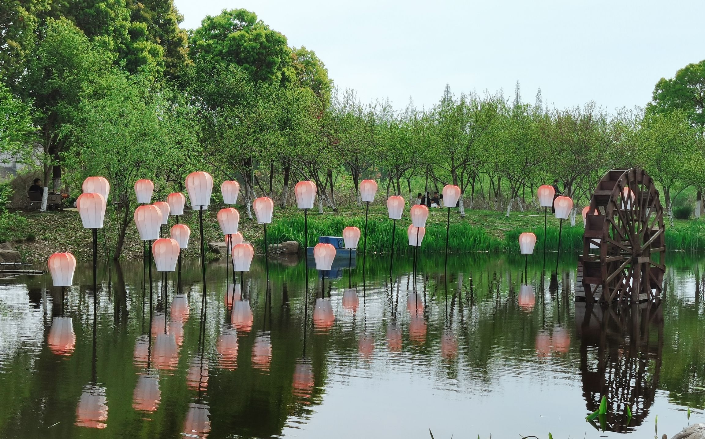 长田漾湿地公园旅行图片 2