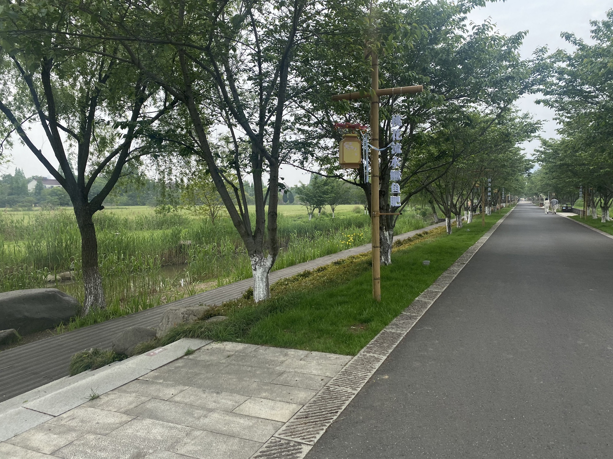 长田漾湿地公园旅行图片 3