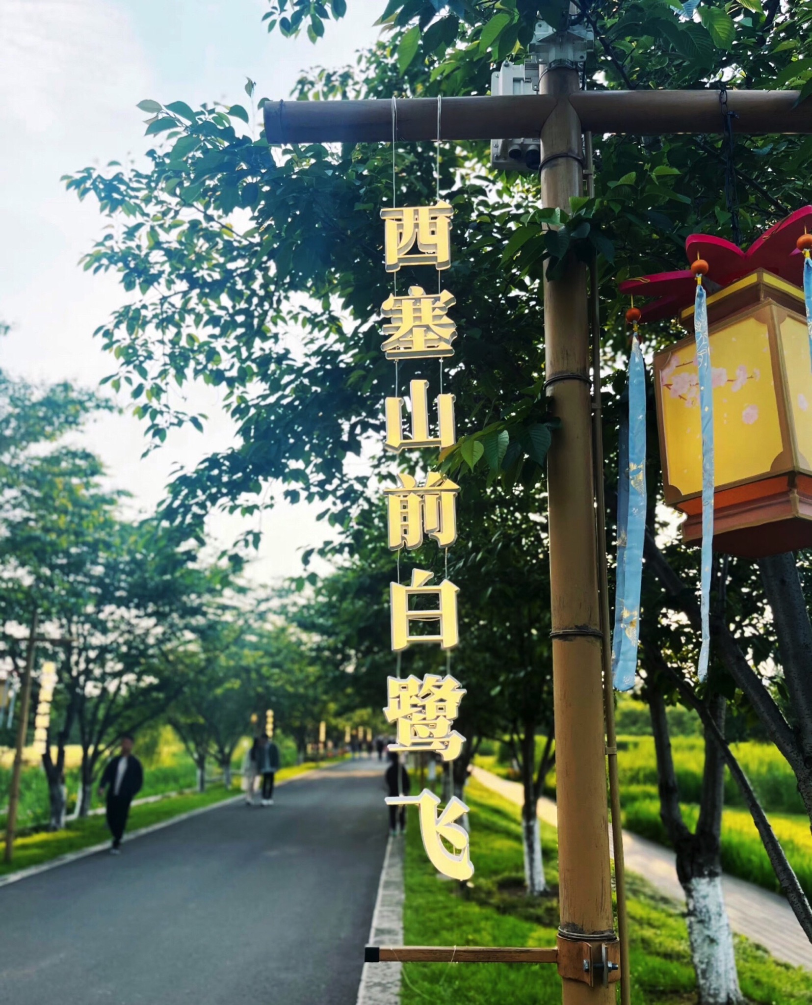 长田漾湿地公园旅行图片 1