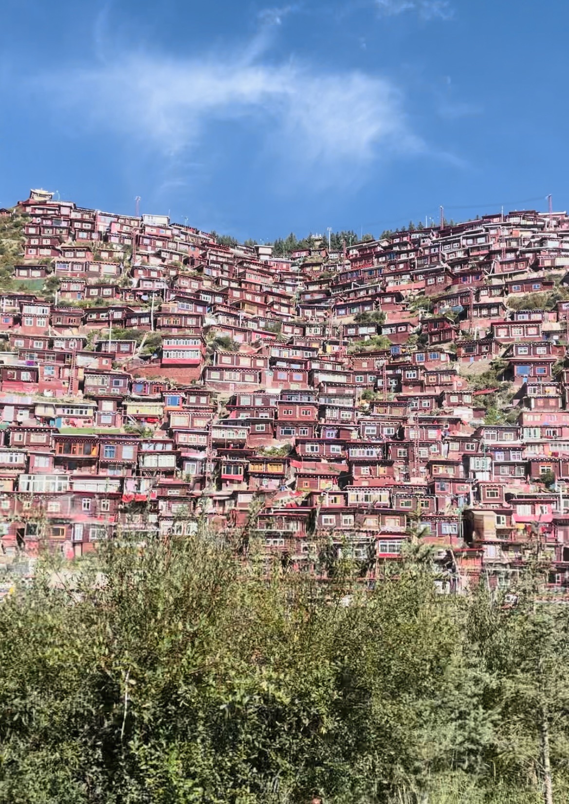 金马广场旅行图片 1