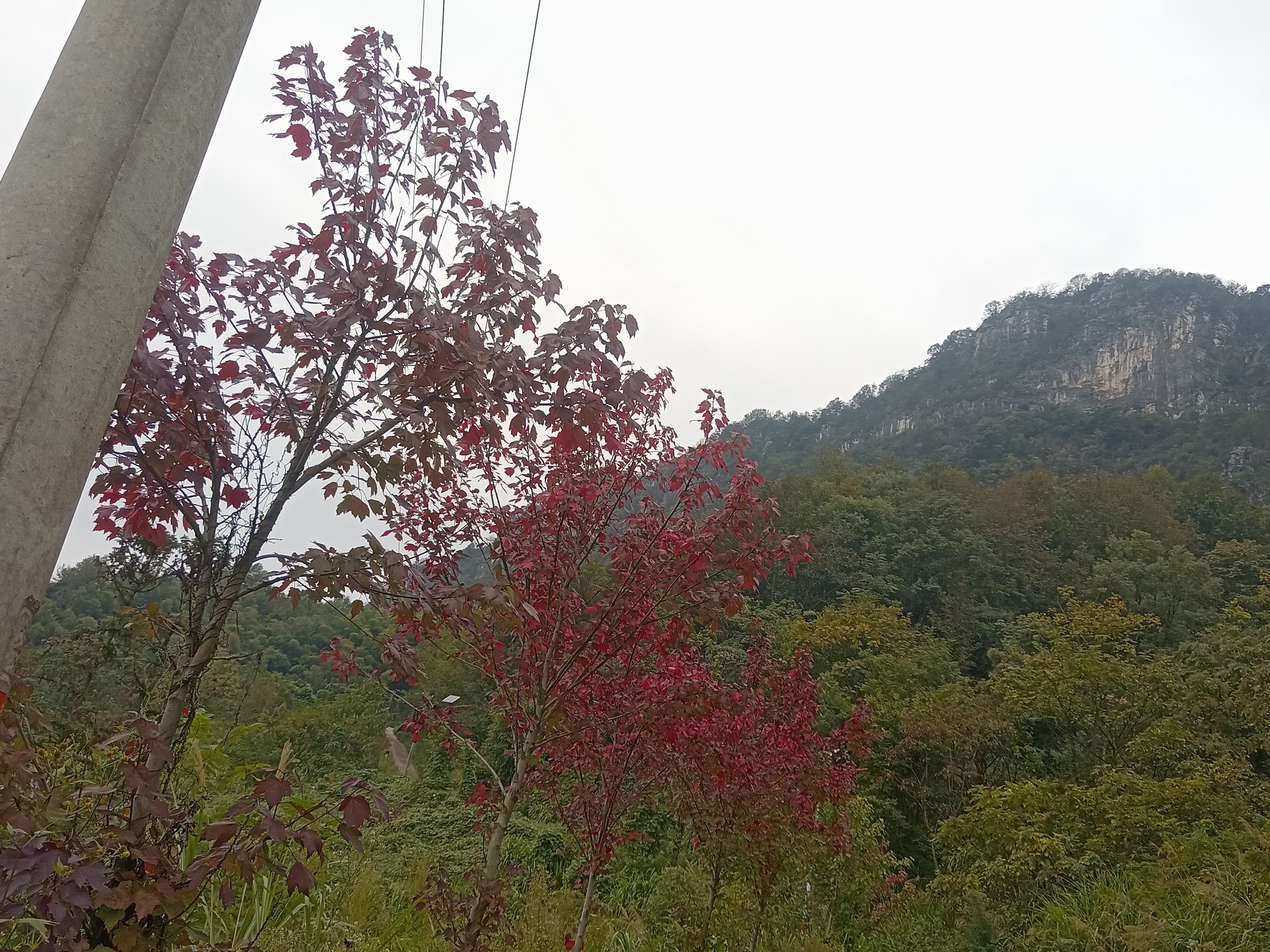 紫虚岩旅行图片 2