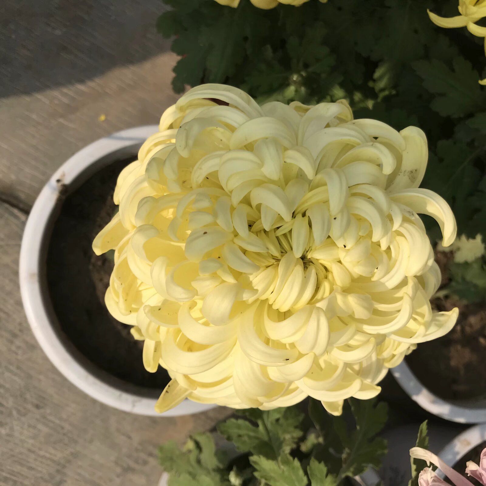 晋商博物院旅行图片 2