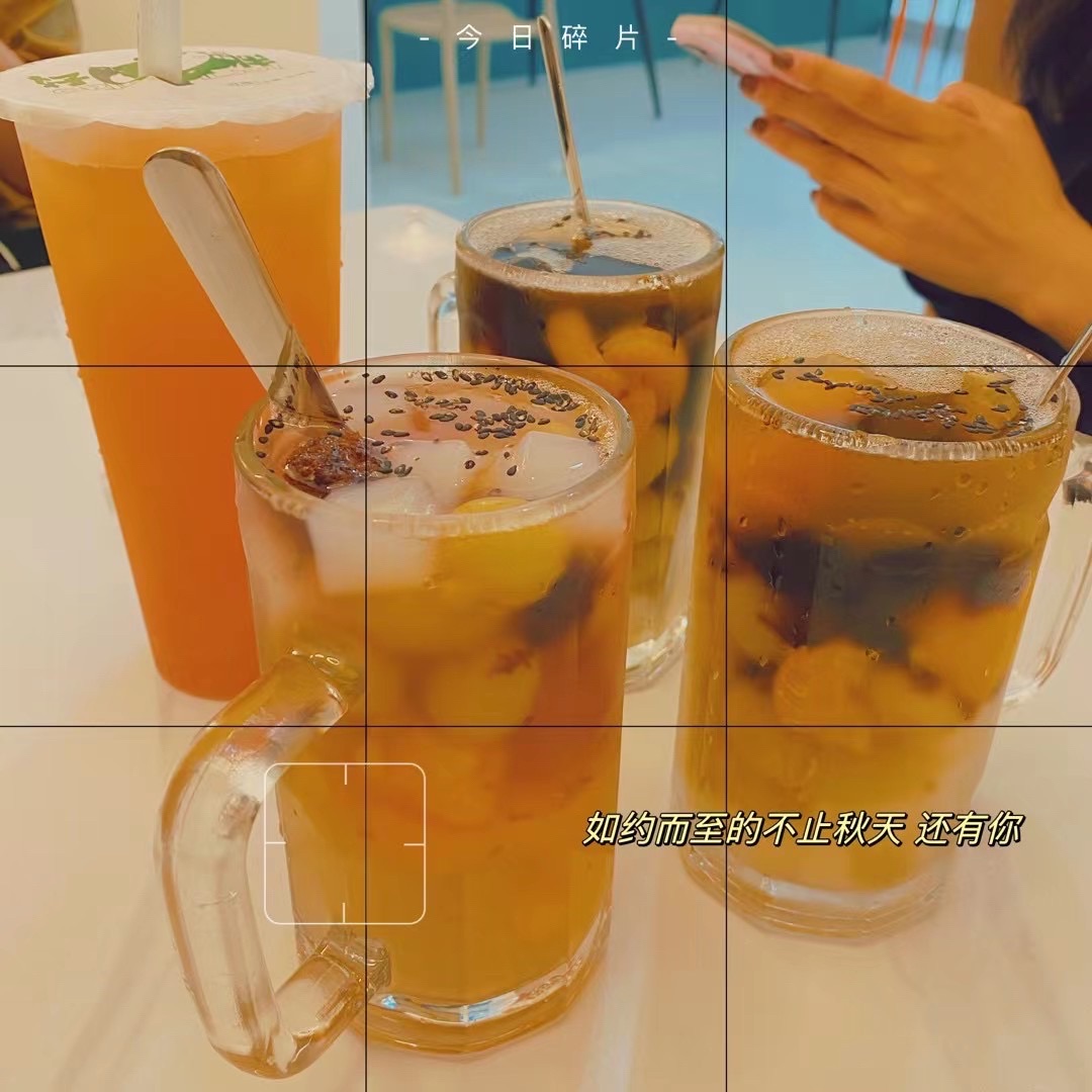 龙港城市公园旅行图片 2