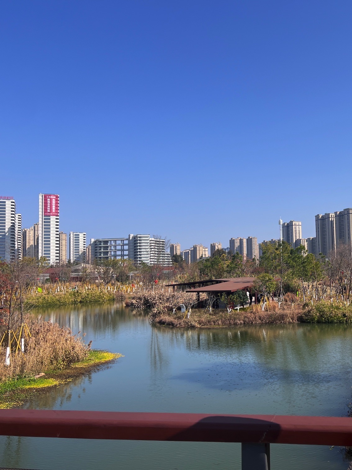 龙港城市公园旅行图片 1