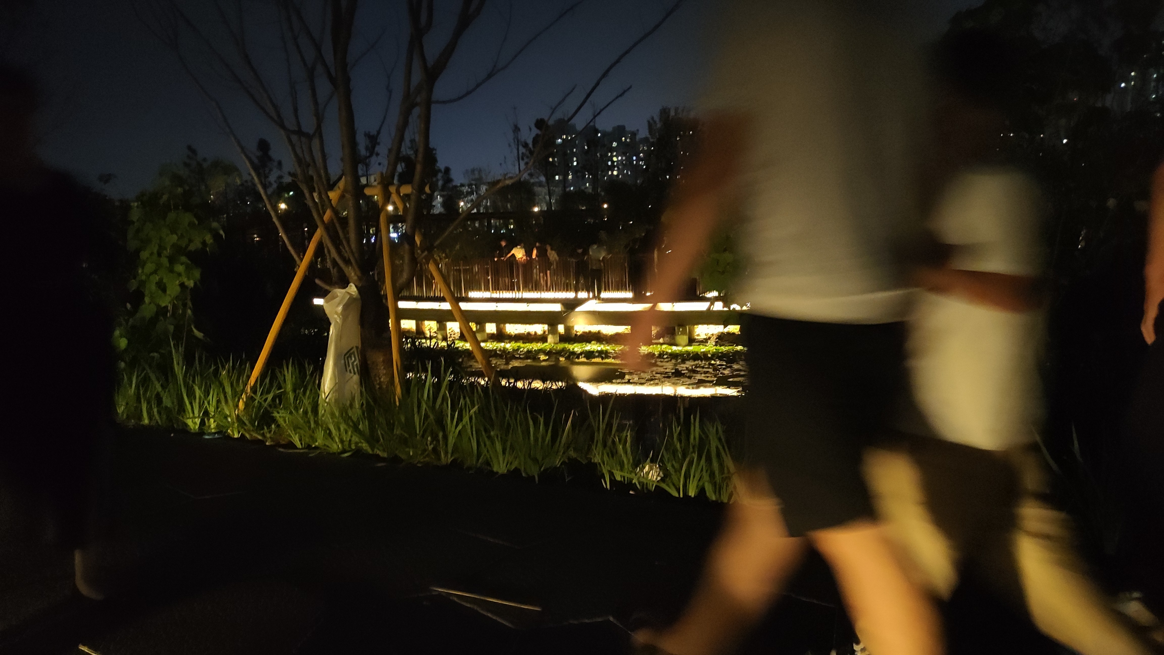 龙港城市公园旅行图片 3