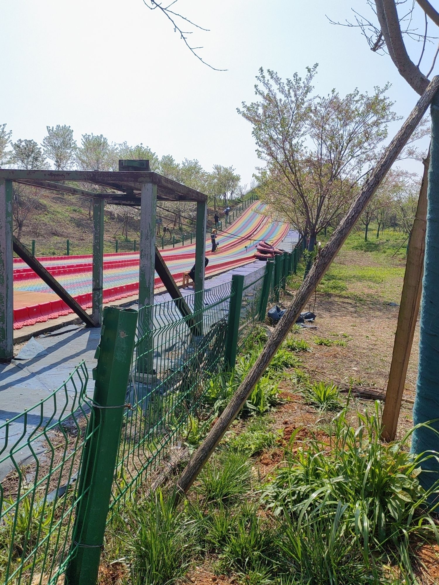 岳阳樱花园旅行图片 1