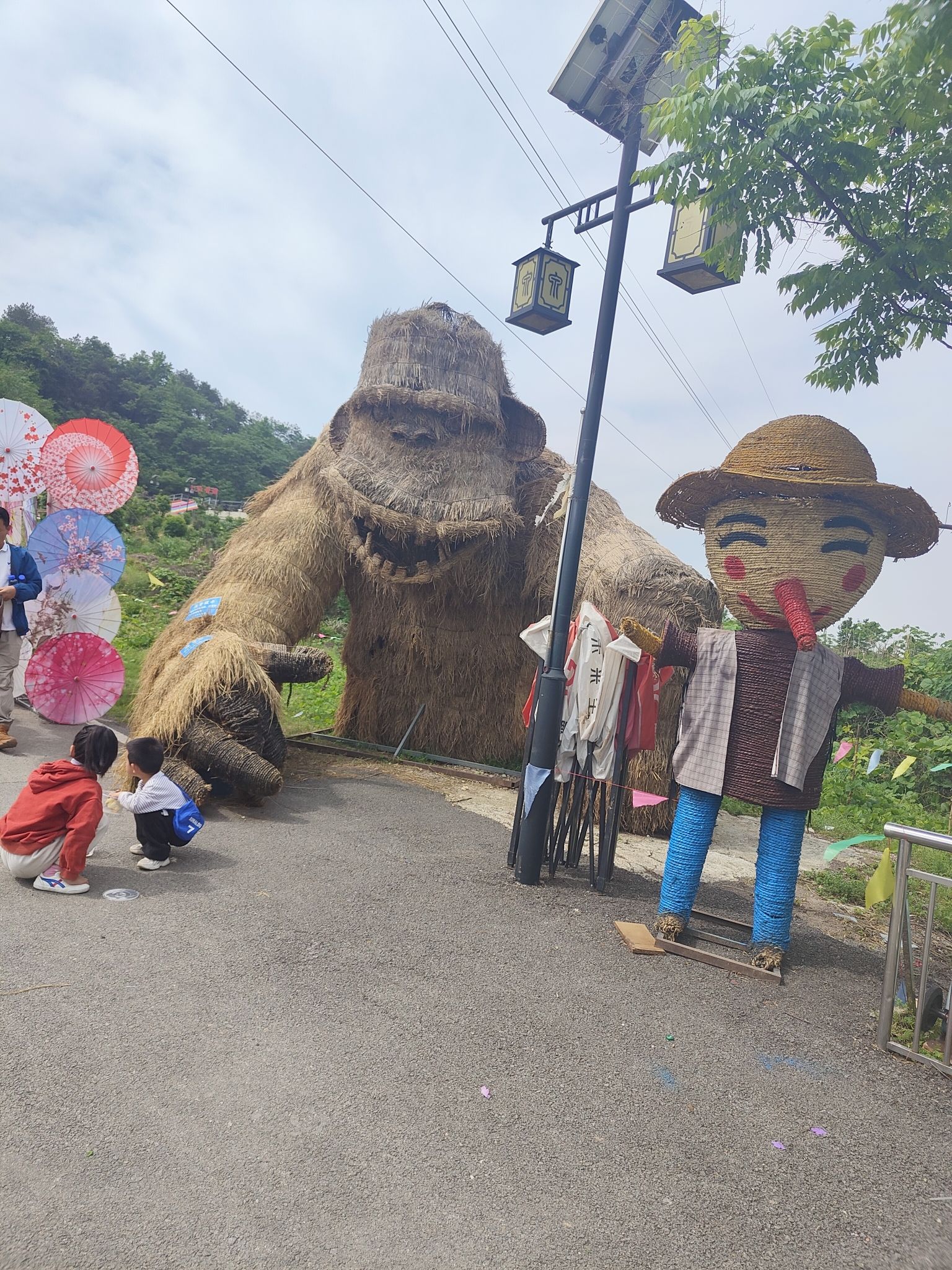梁子湖·泉天牡丹花谷旅行图片 1
