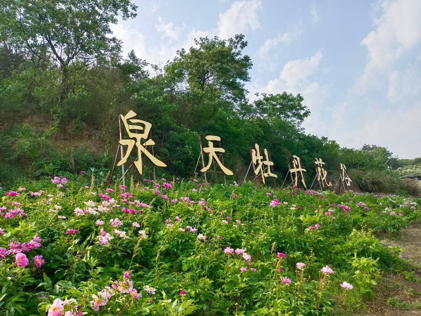 梁子湖·泉天牡丹花谷旅行图片 1