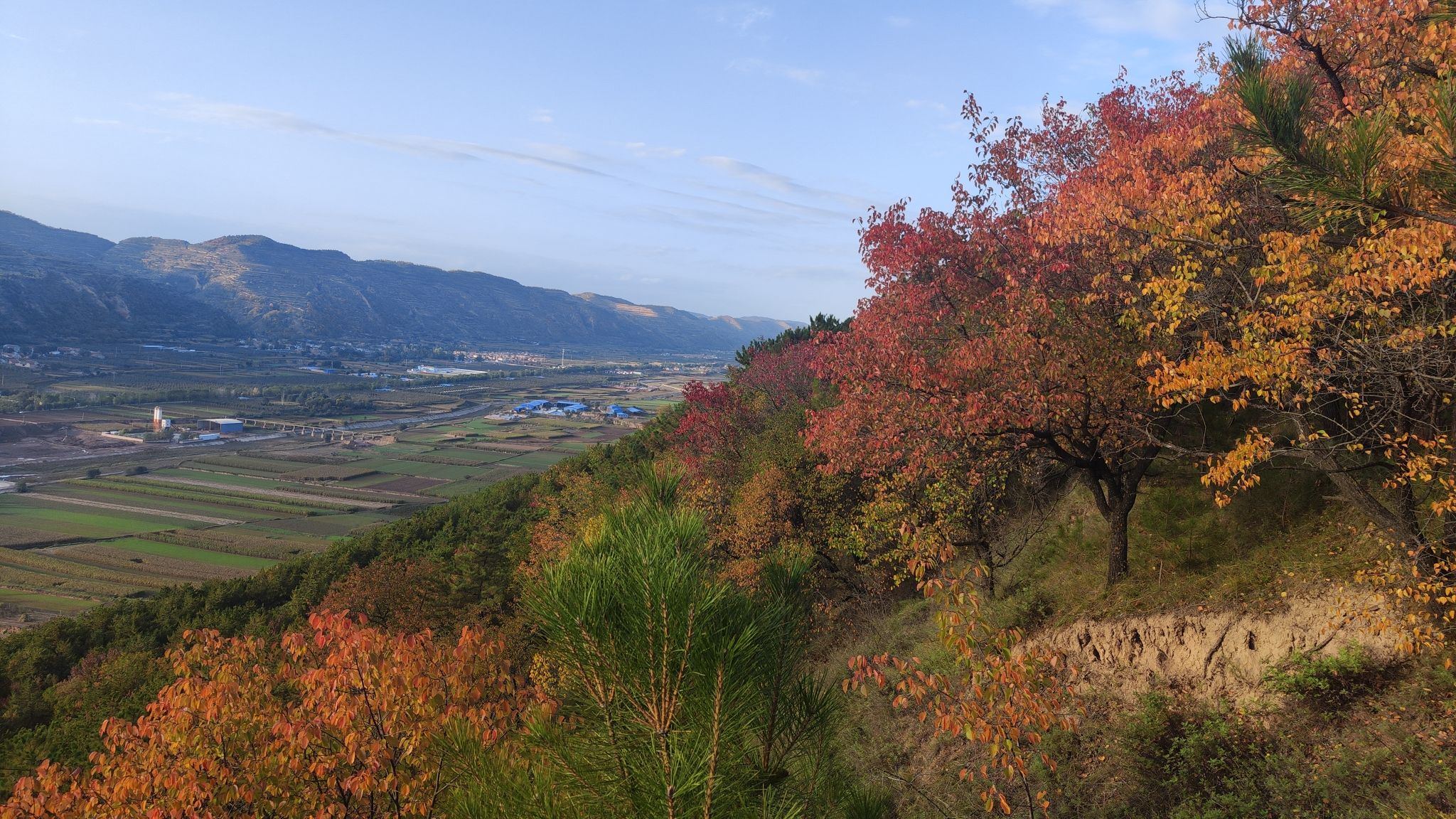 游龙山