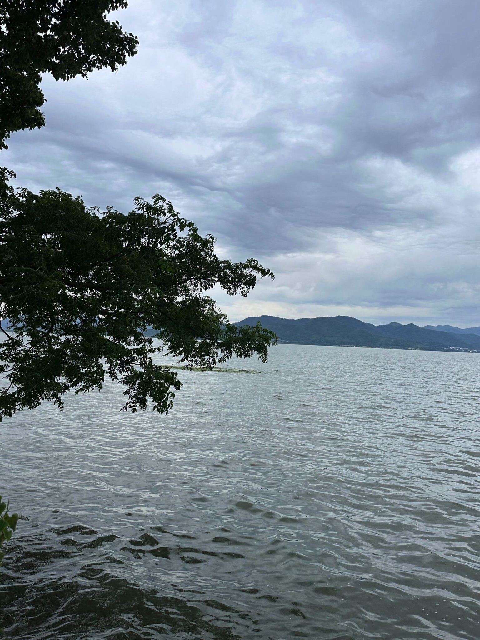 东钱湖白宫(不对外开放)旅行图片 1