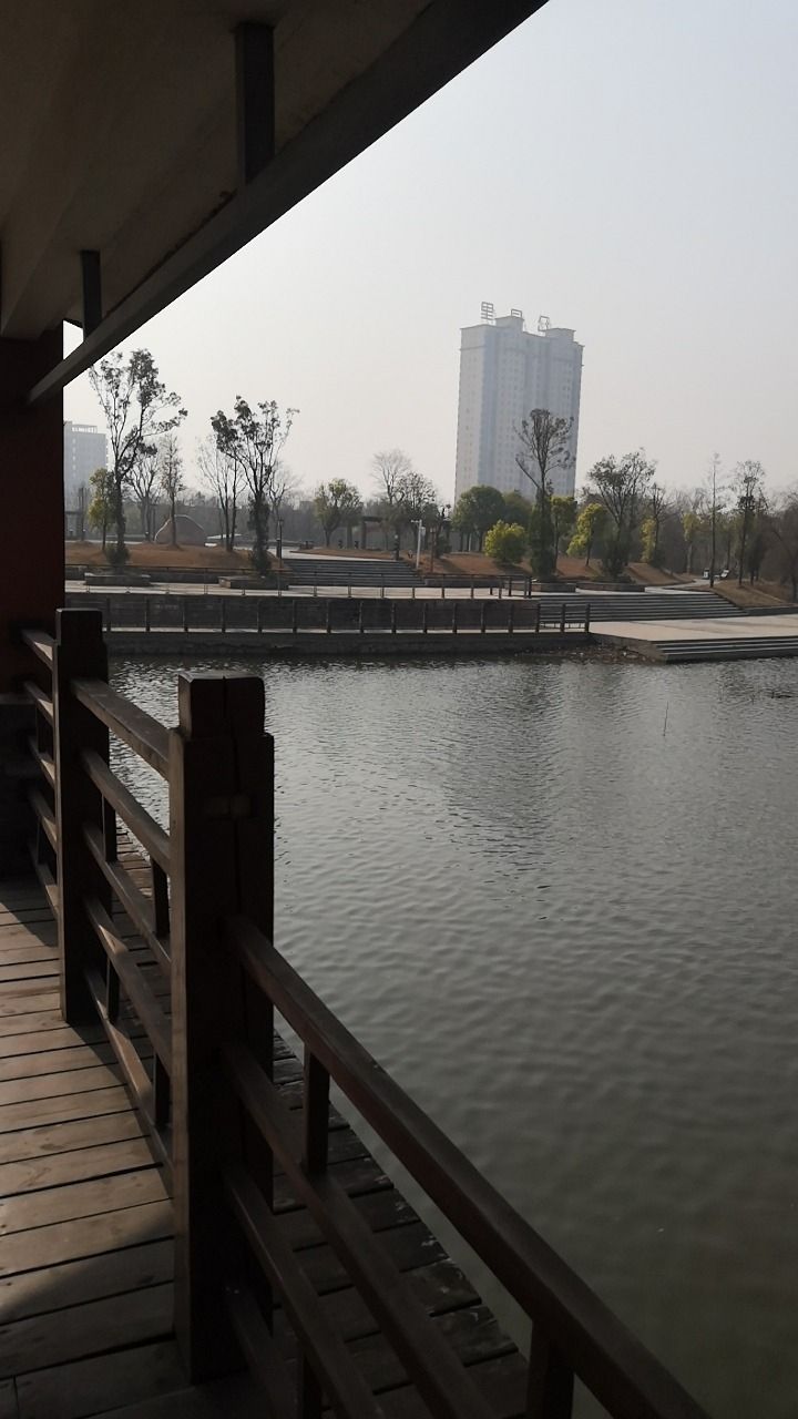 长岭洲公园旅行图片 1