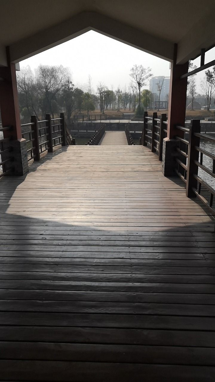 长岭洲公园旅行图片 3