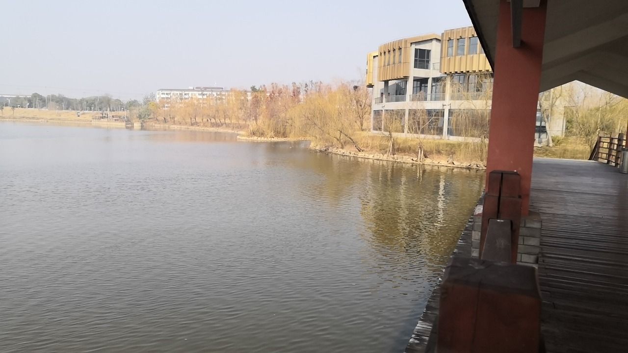 长岭洲公园旅行图片 2