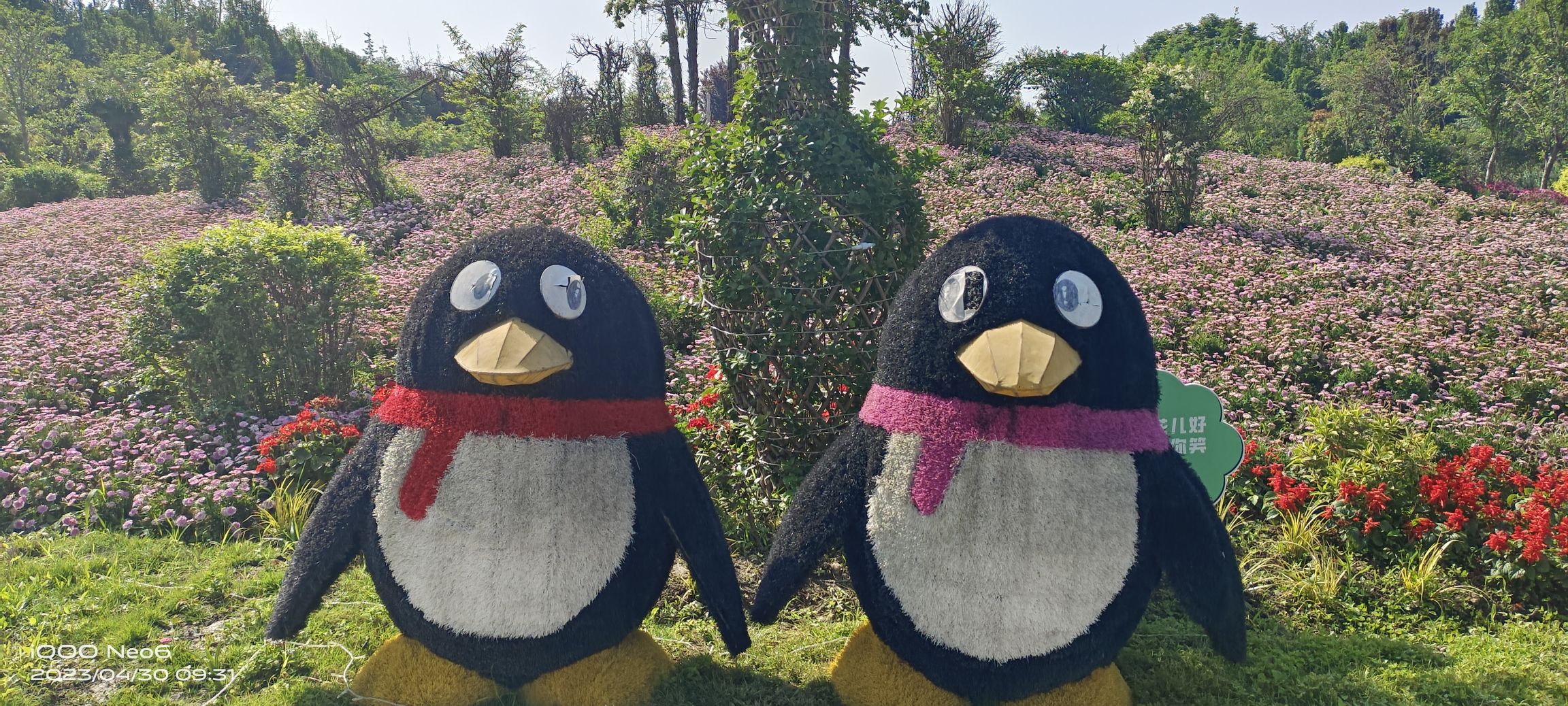 山海故事旅行图片 2