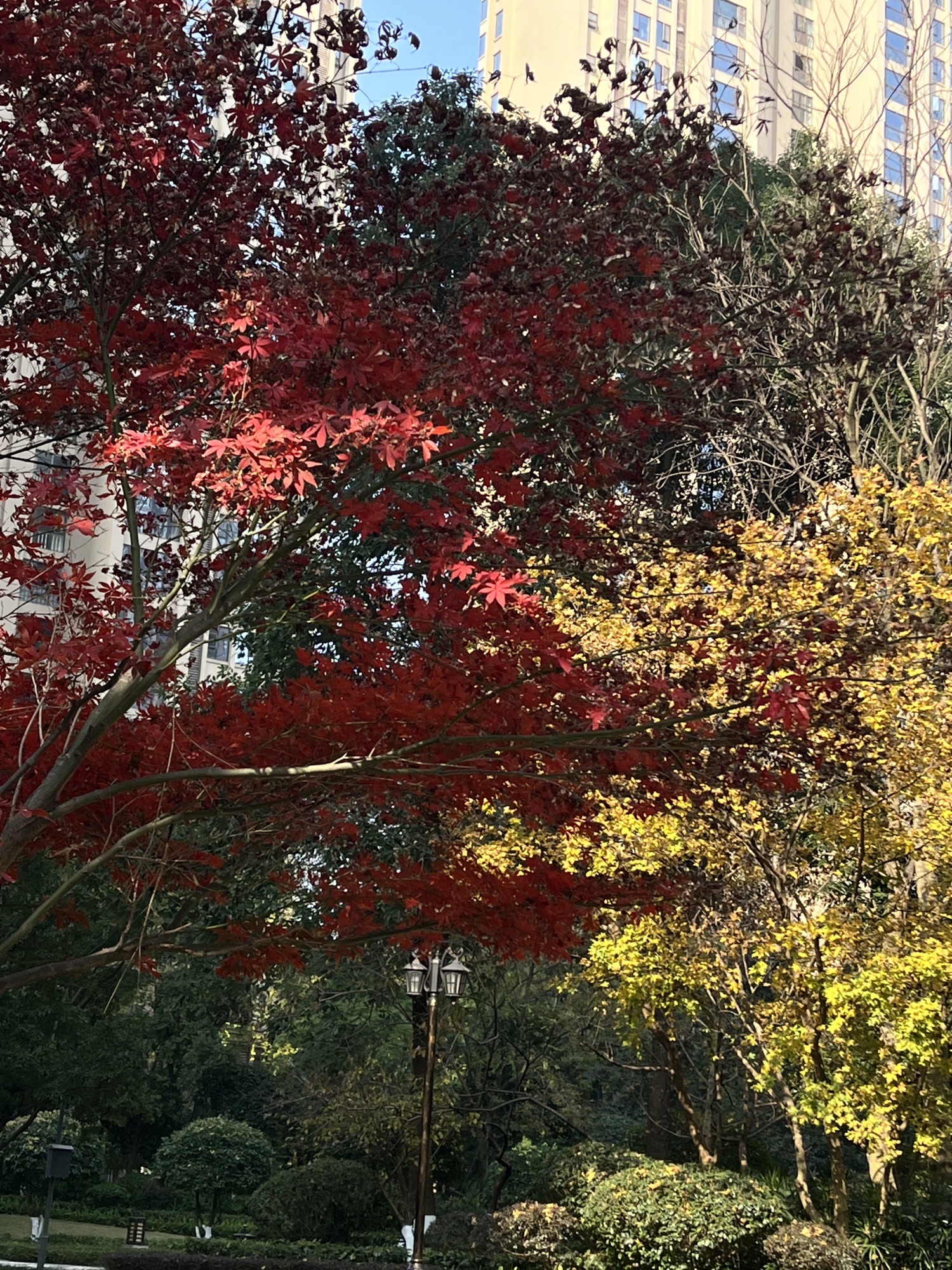塔山公园旅行图片 1