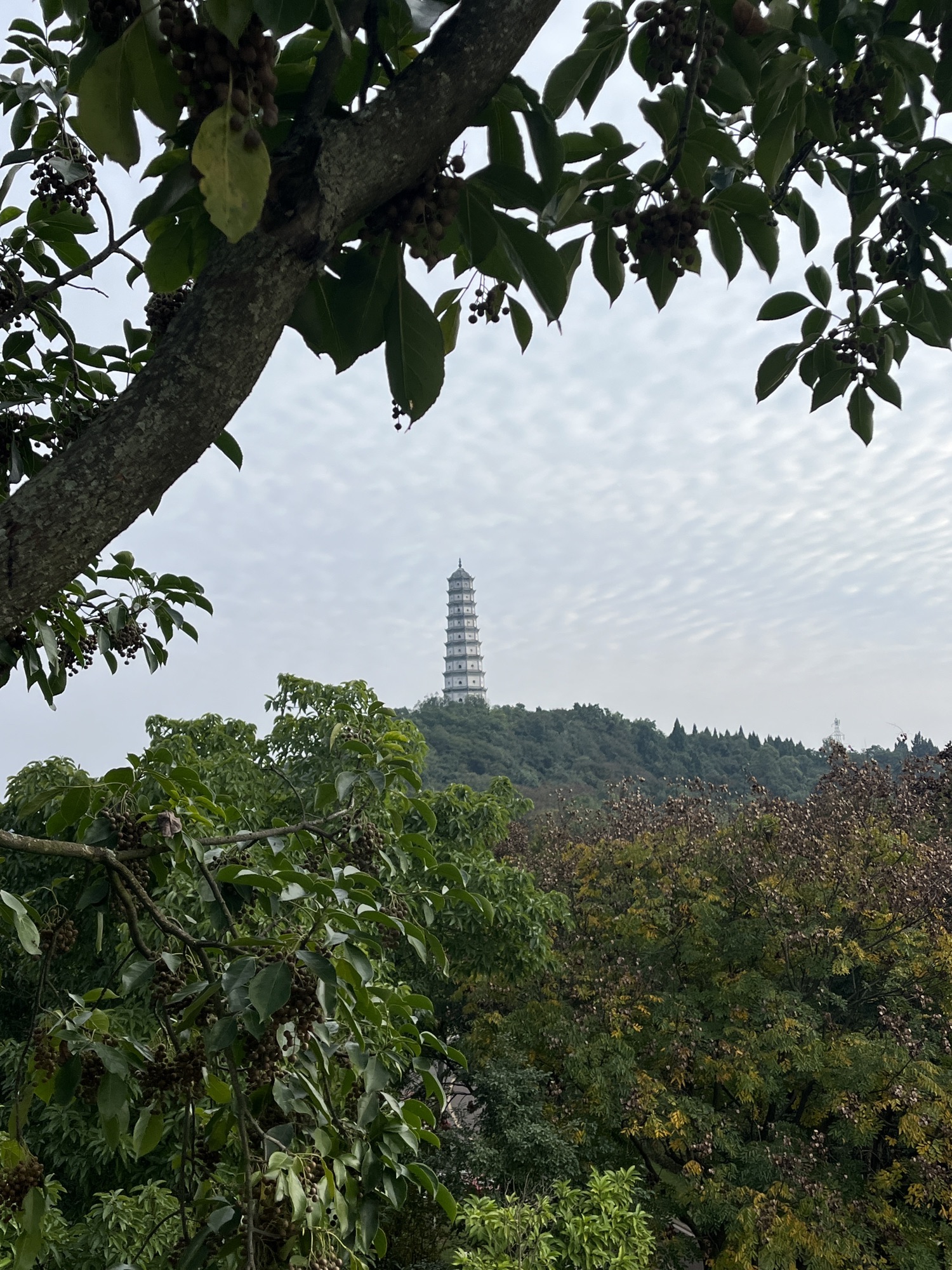塔山公园旅行图片 2