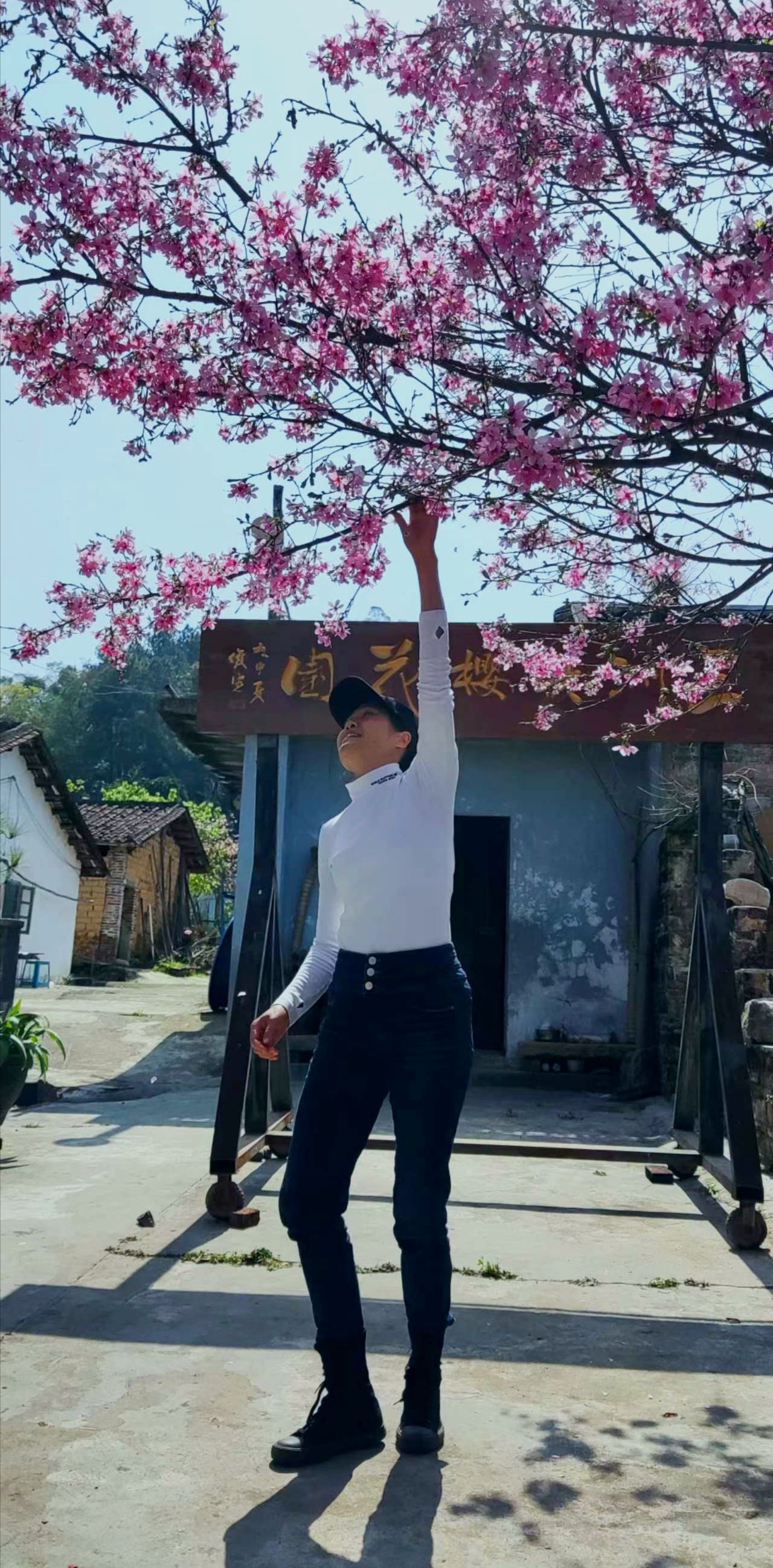 三洲坝樱花园旅行图片 3