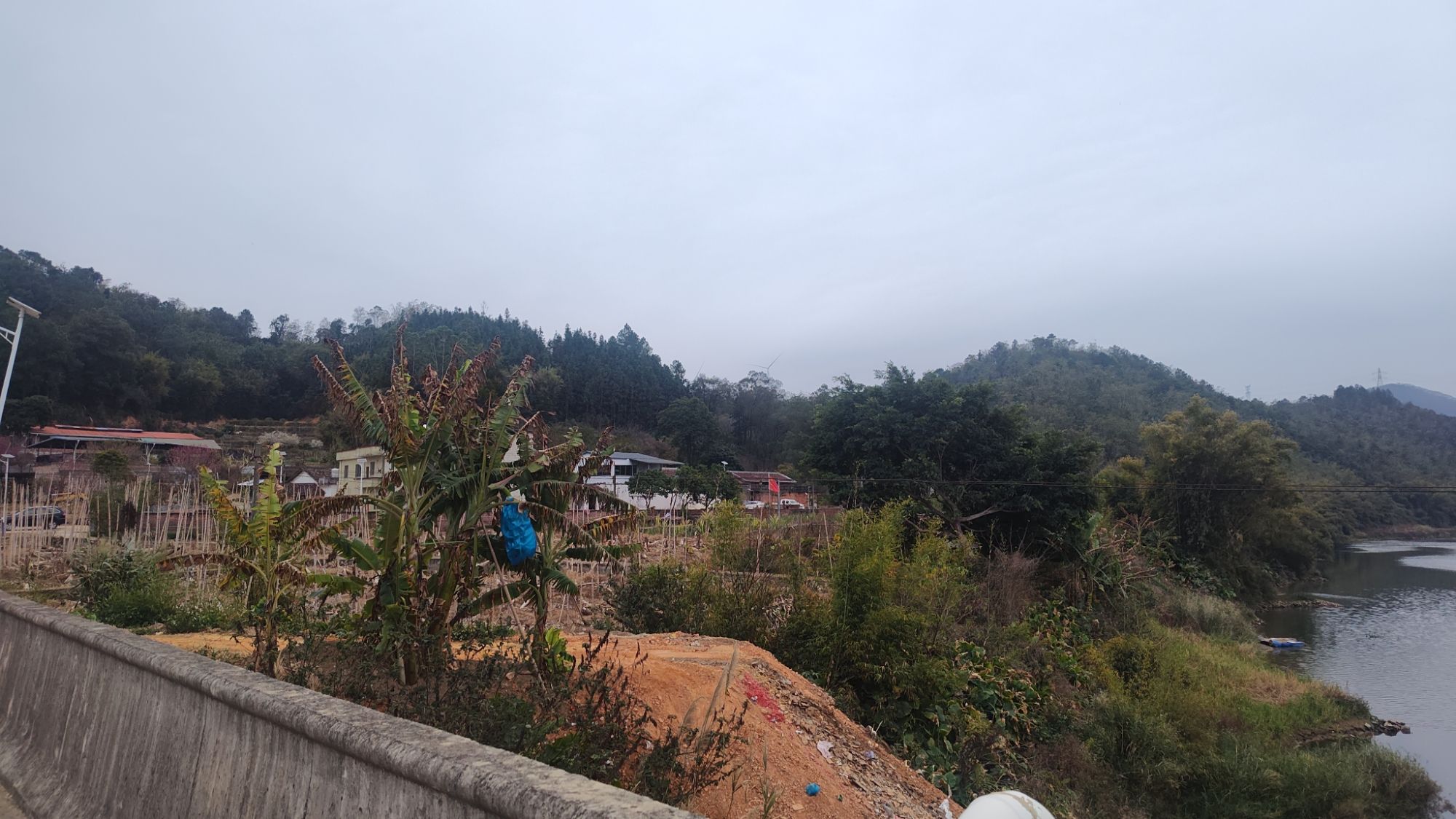 三洲坝樱花园旅行图片 1