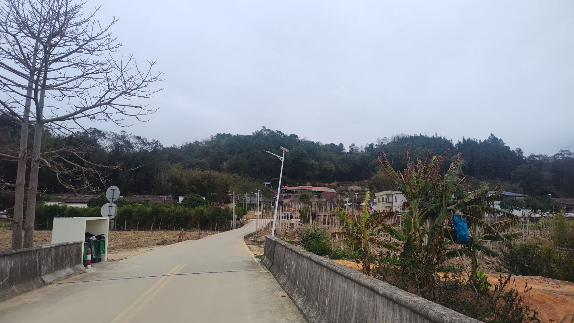 三洲坝樱花园旅行图片 2
