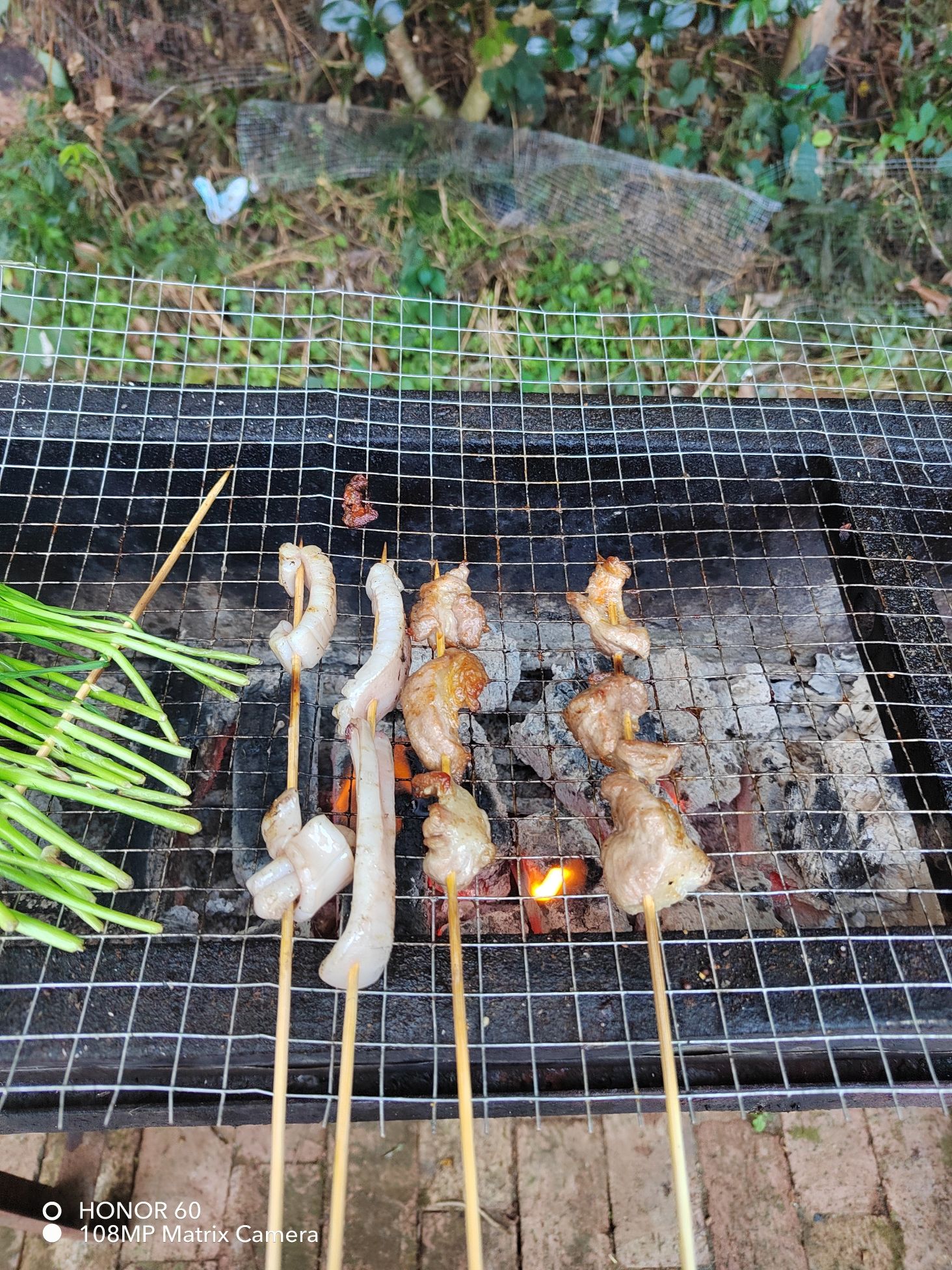 锡妹植物园旅行图片 3