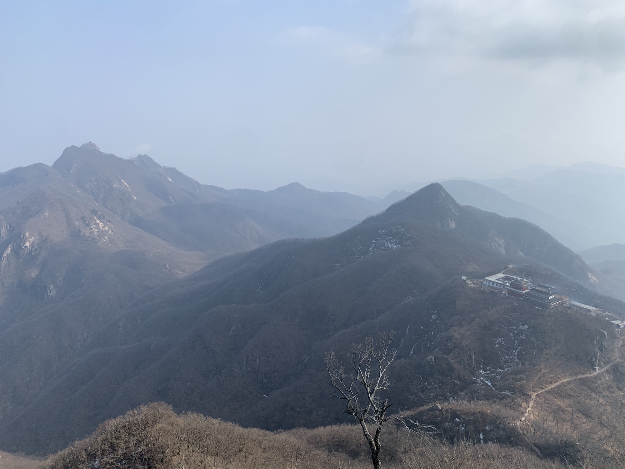 北顶迎客松旅行图片 2