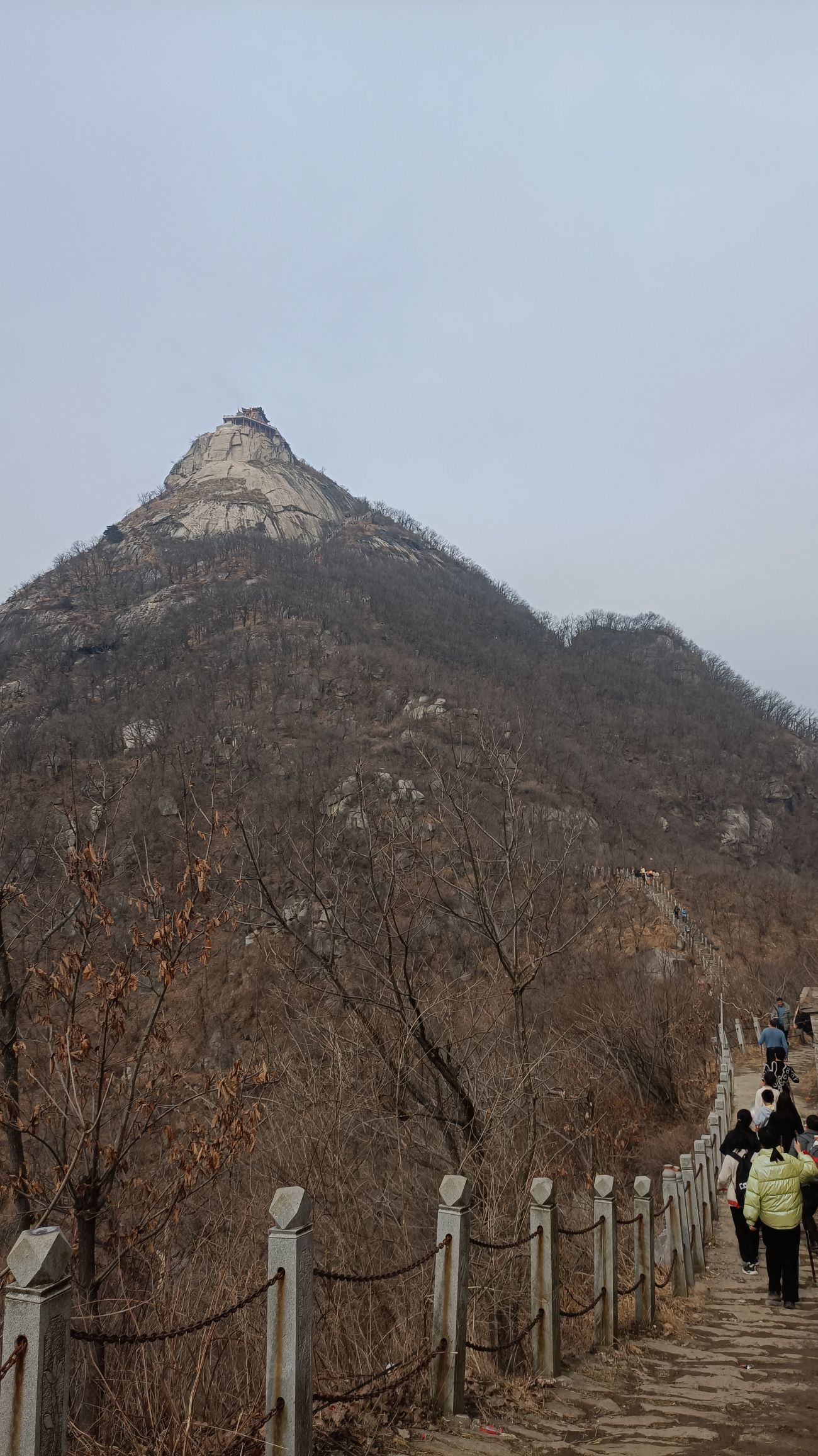 北顶迎客松旅行图片 2