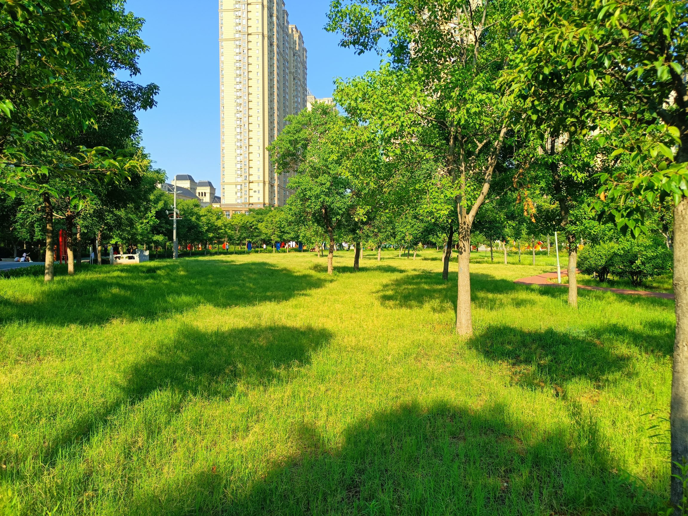 老城区体育公园旅行图片 3