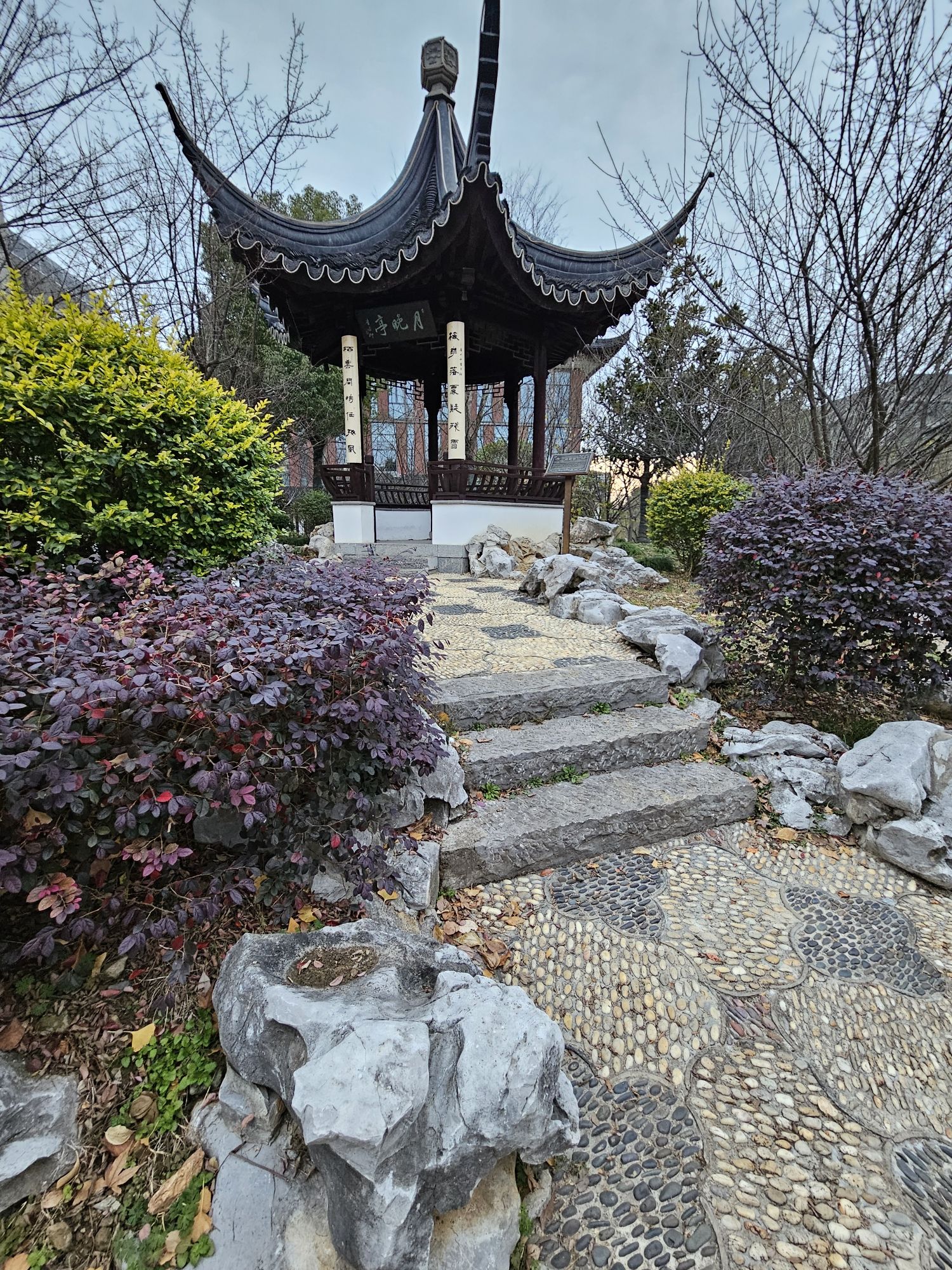 香雪海旅行图片 3