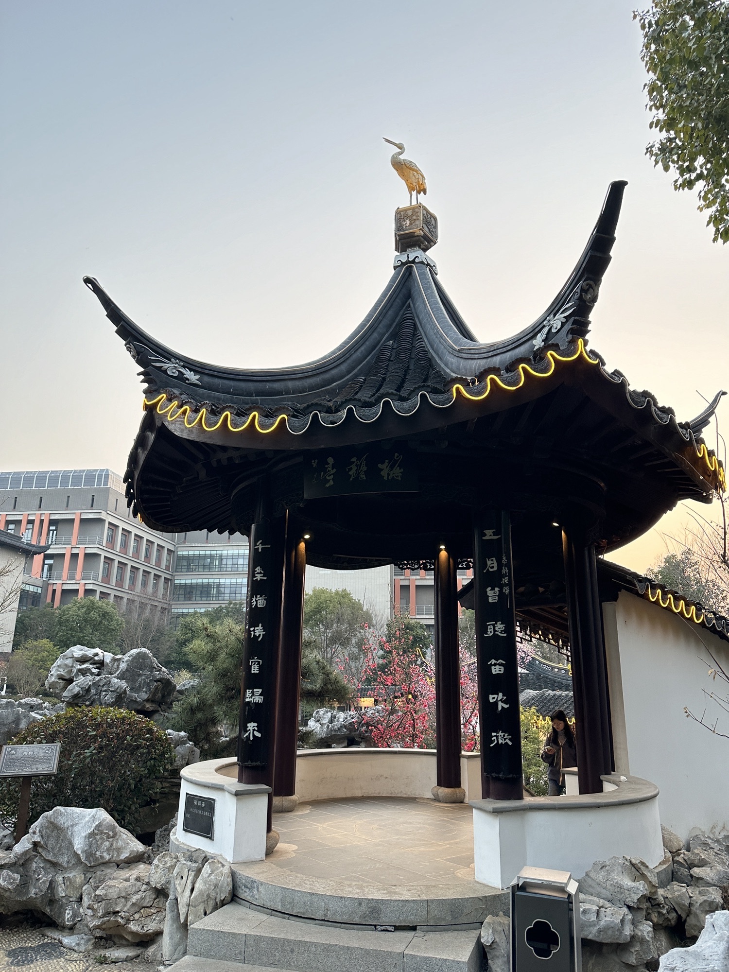 香雪海旅行图片 3