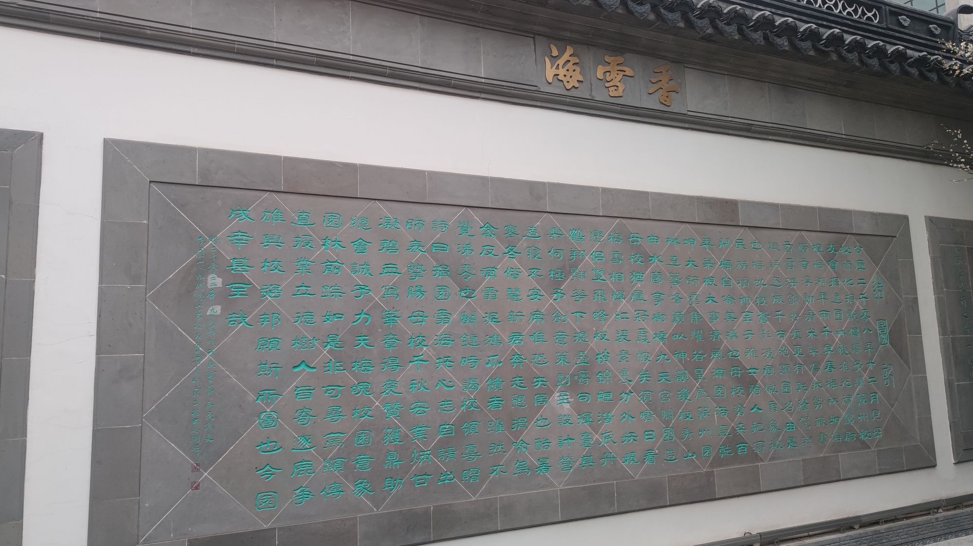 香雪海旅行图片 1
