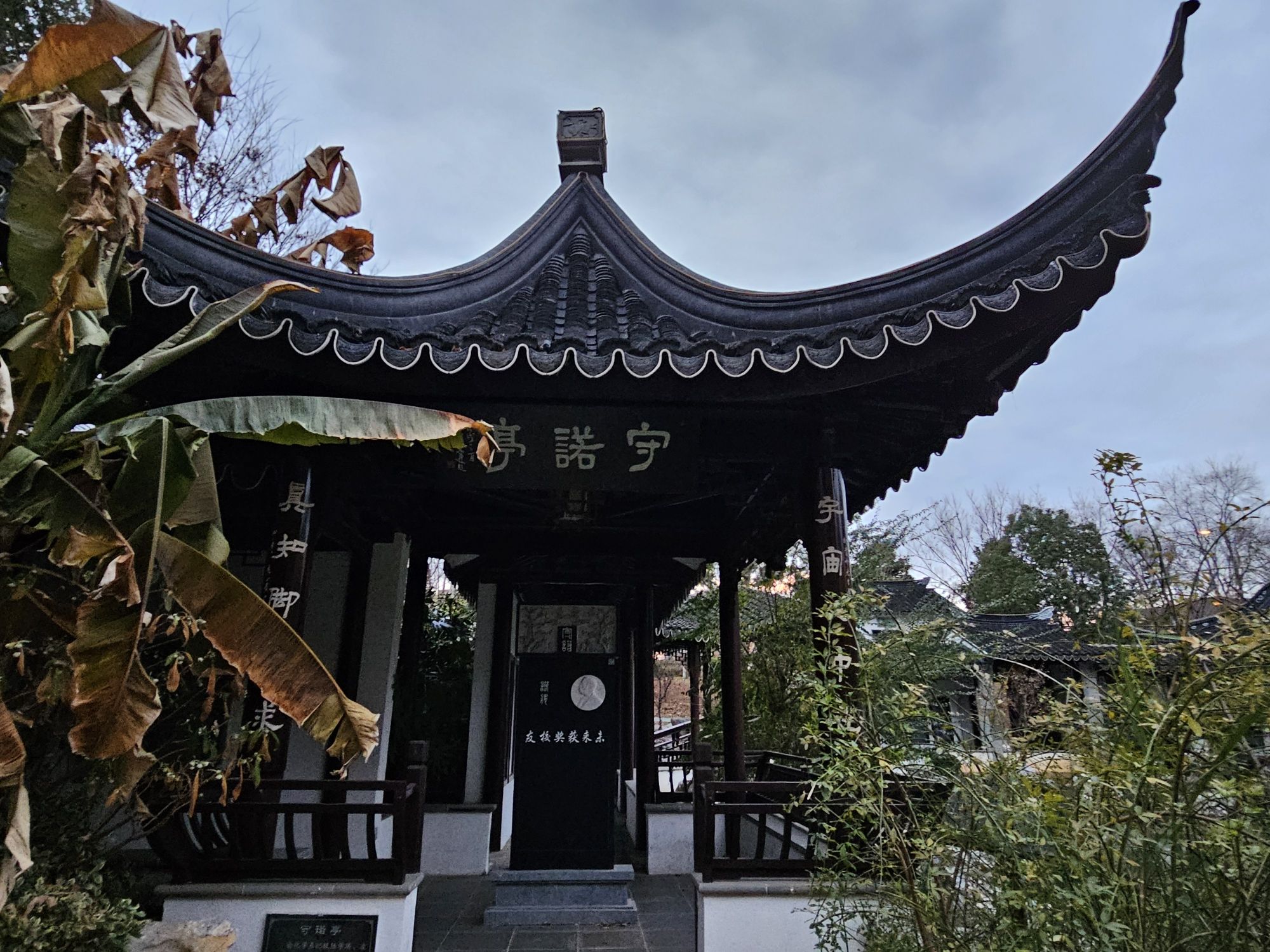 香雪海旅行图片 1