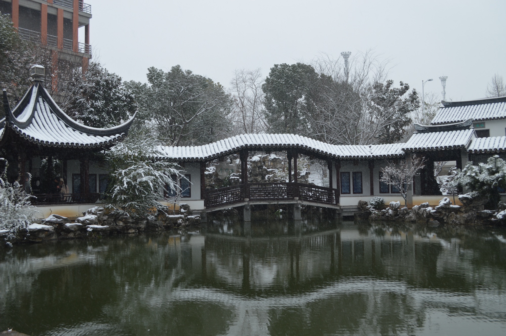 香雪海旅行图片 1